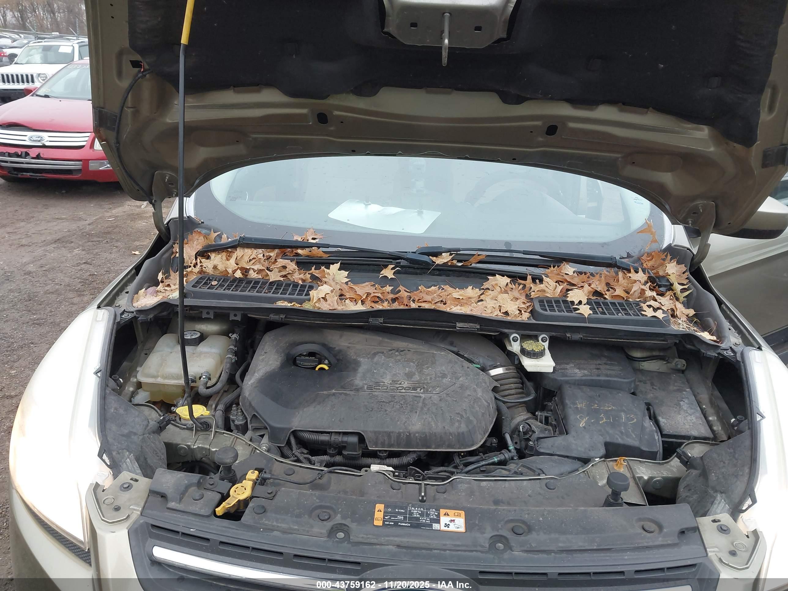 FORD ESCAPE image 10
