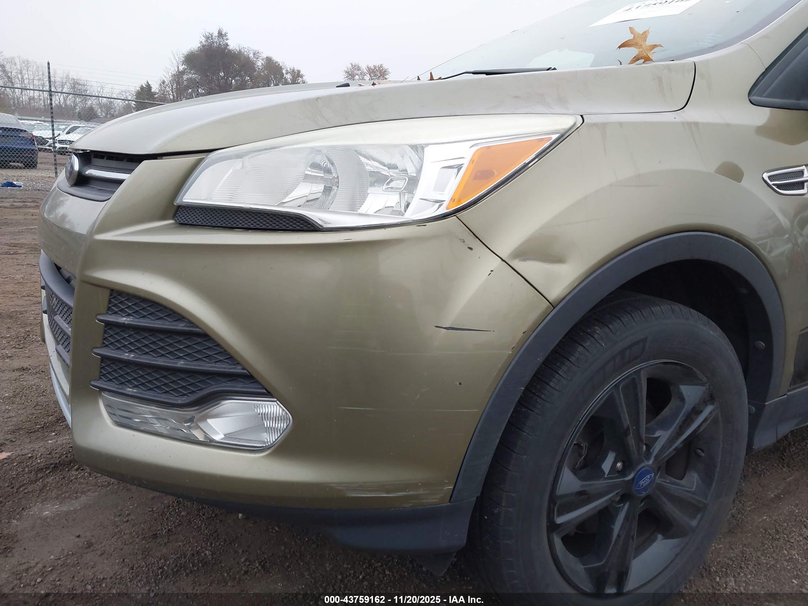 FORD ESCAPE image 6