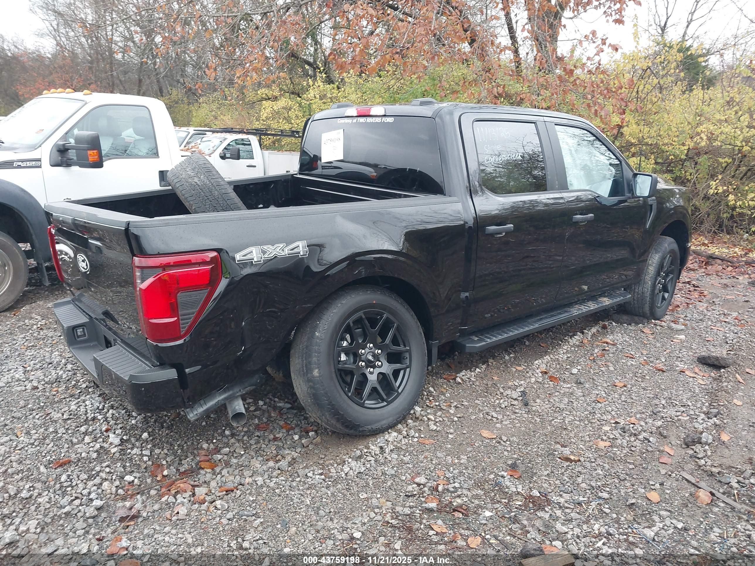 FORD F-150 image 4