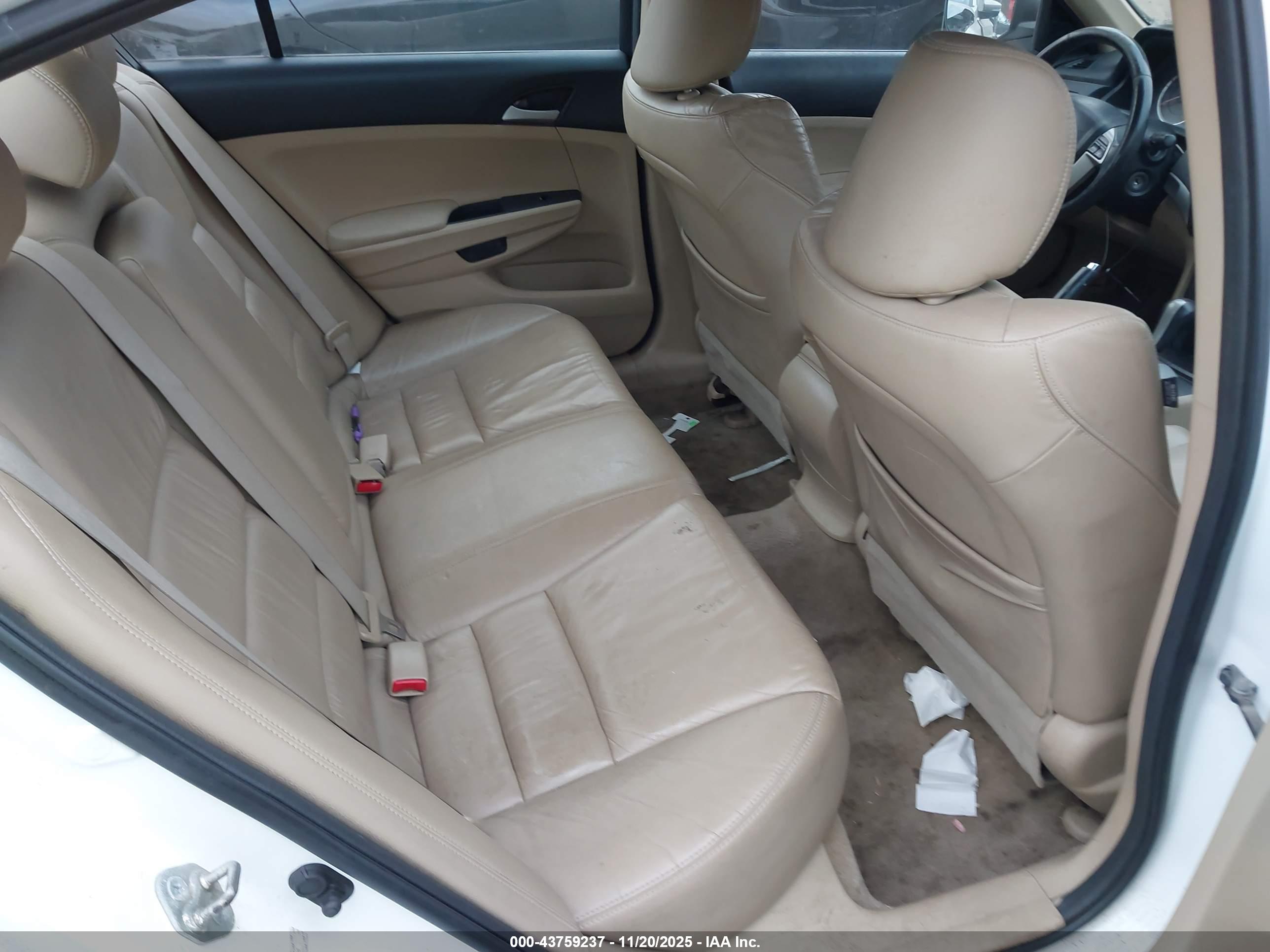 HONDA ACCORD image 8