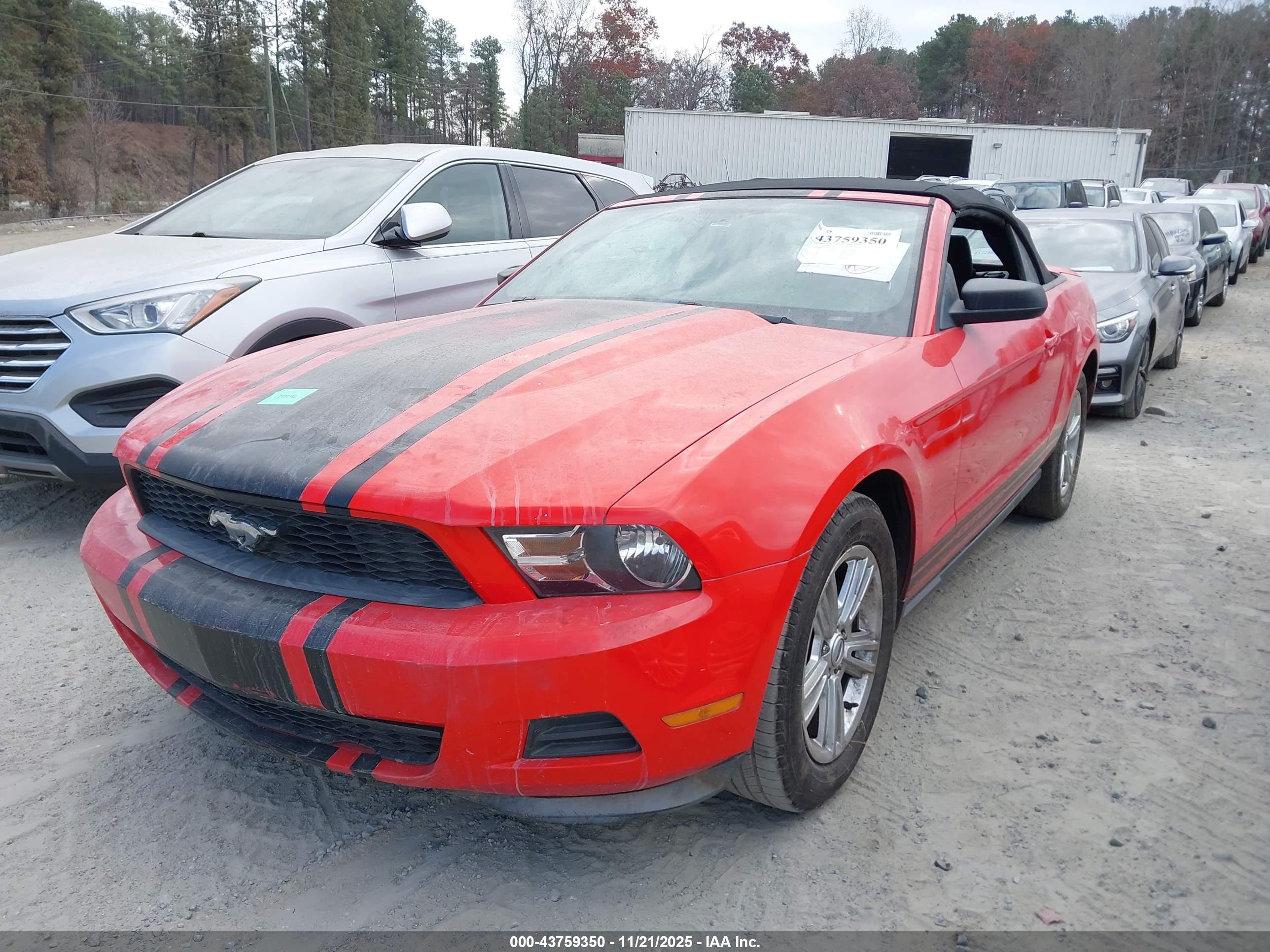 FORD MUSTANG image 2