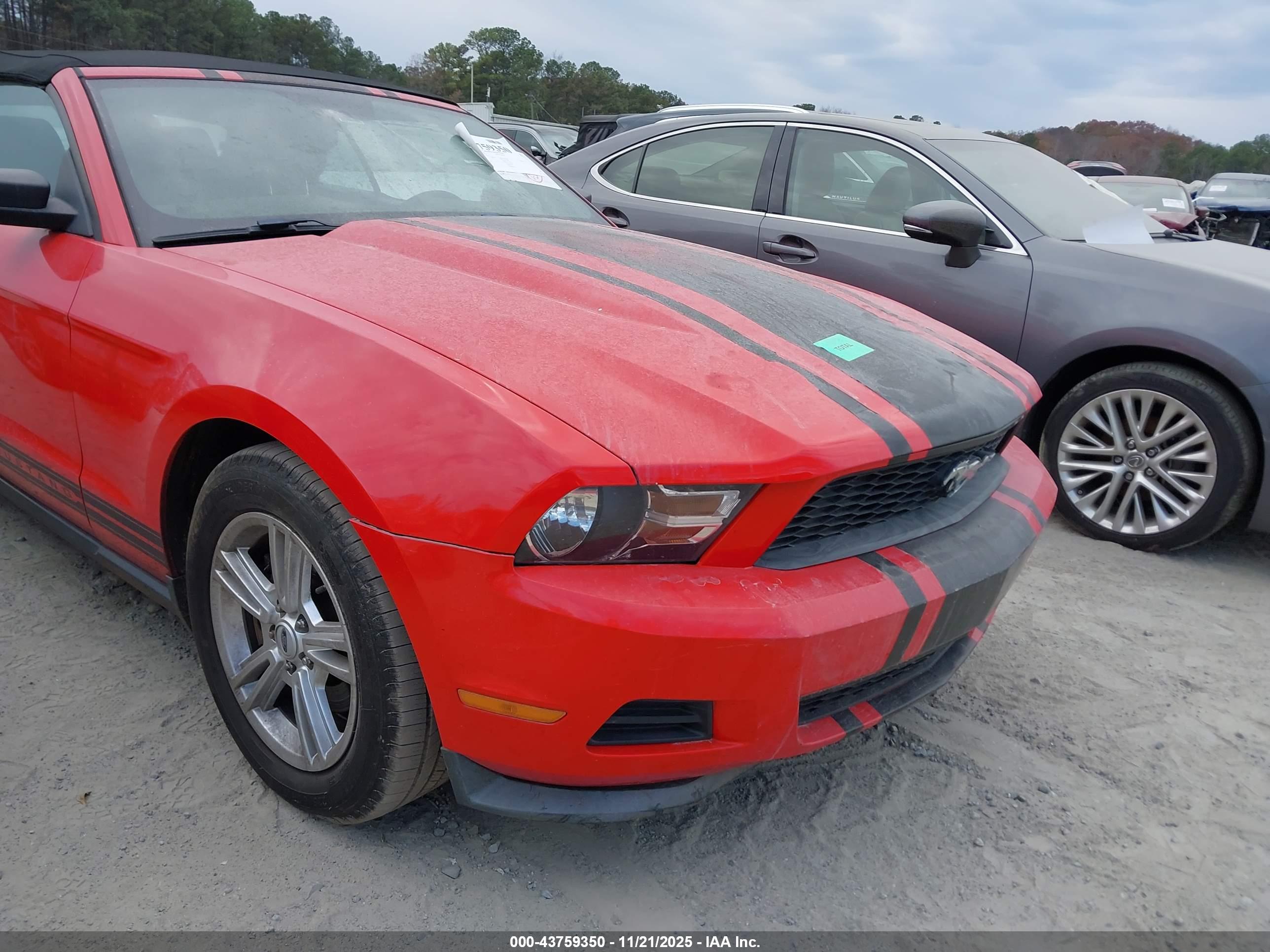 FORD MUSTANG image 6