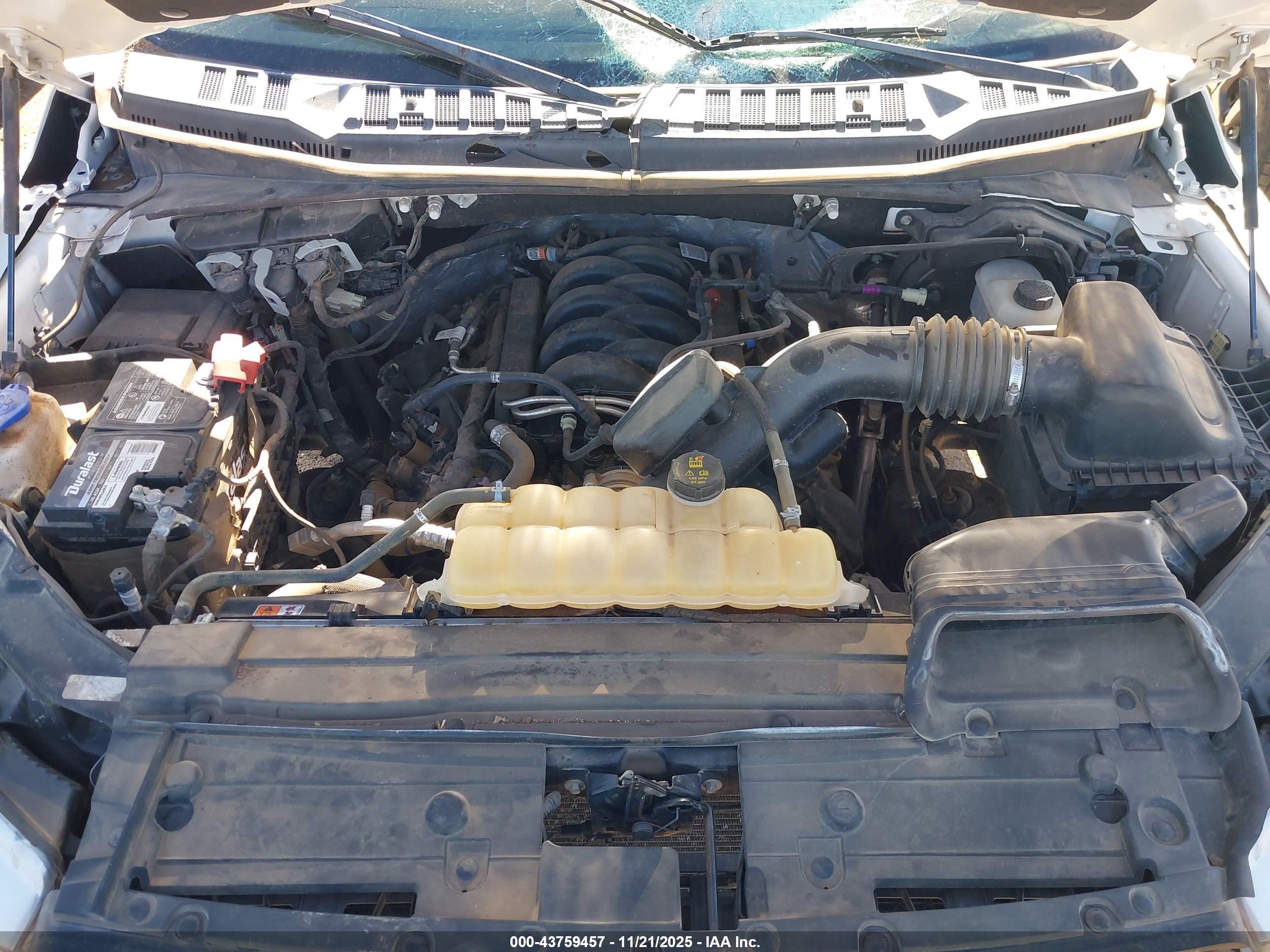 FORD F-150 image 10