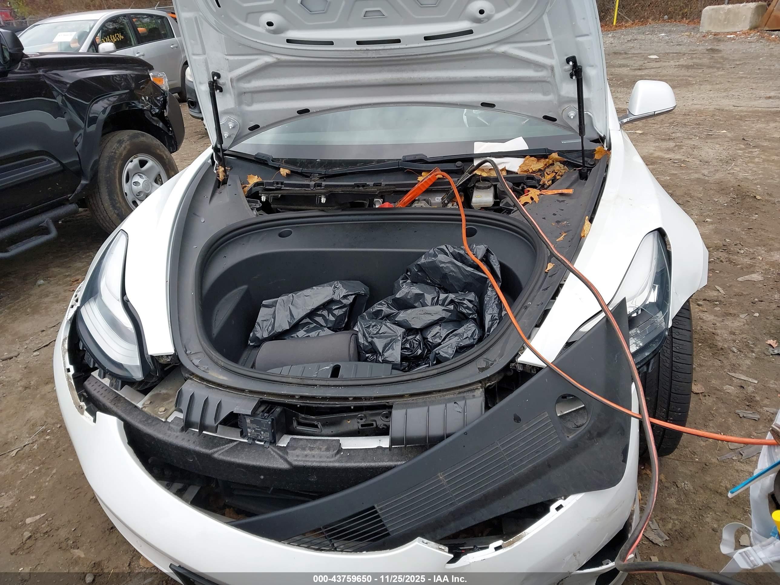 TESLA MODEL image 10