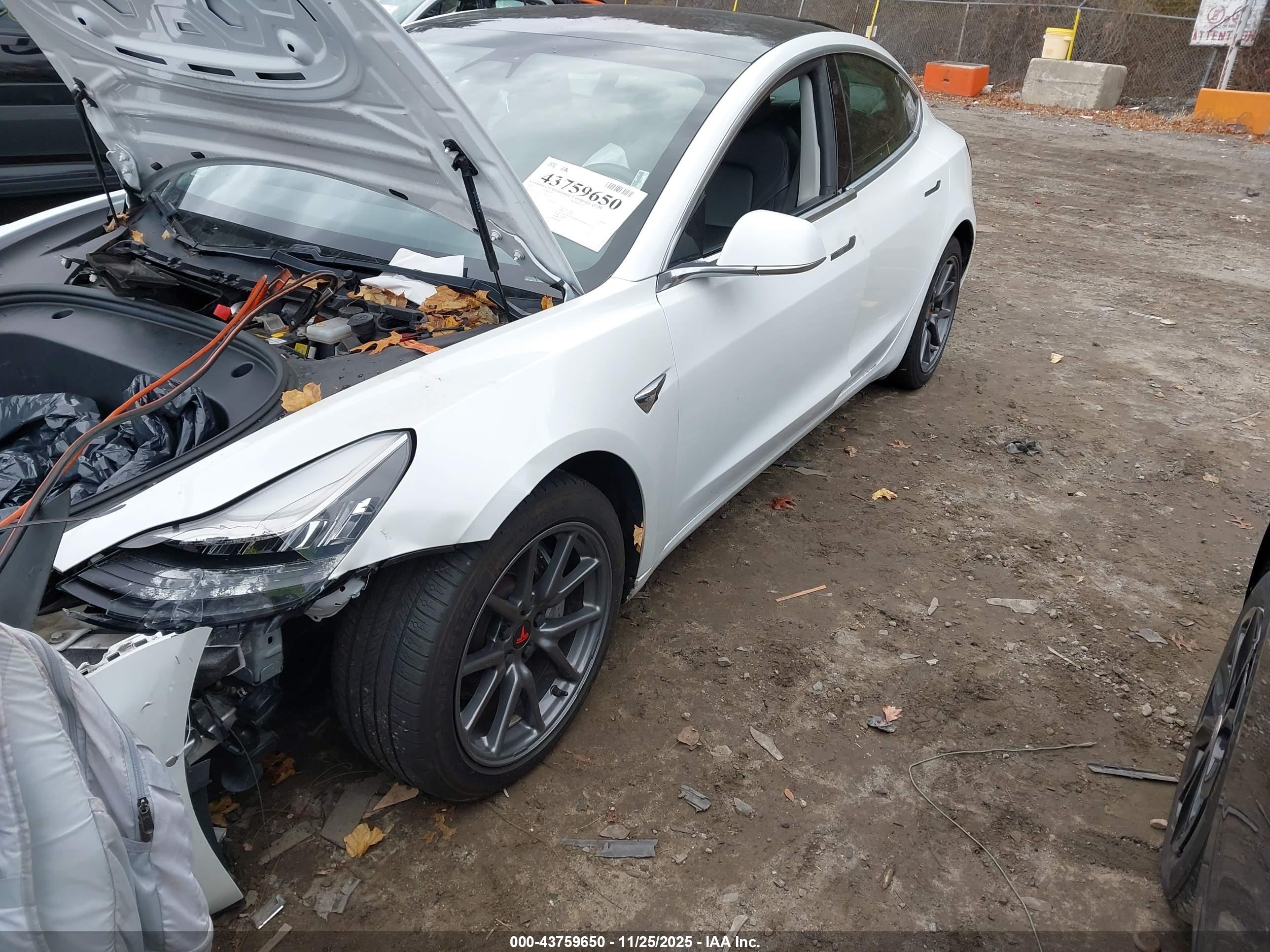 TESLA MODEL image 2