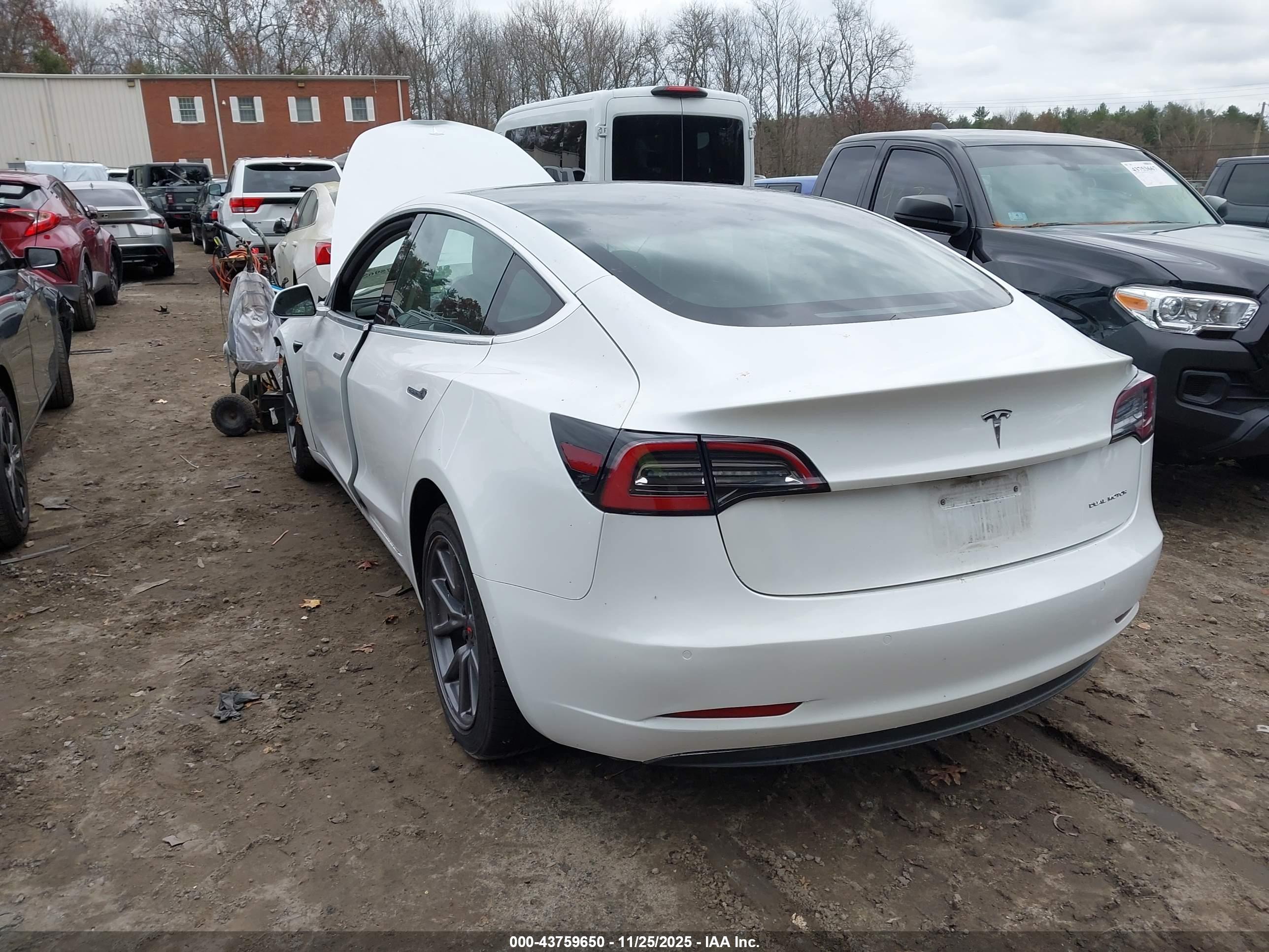 TESLA MODEL image 3
