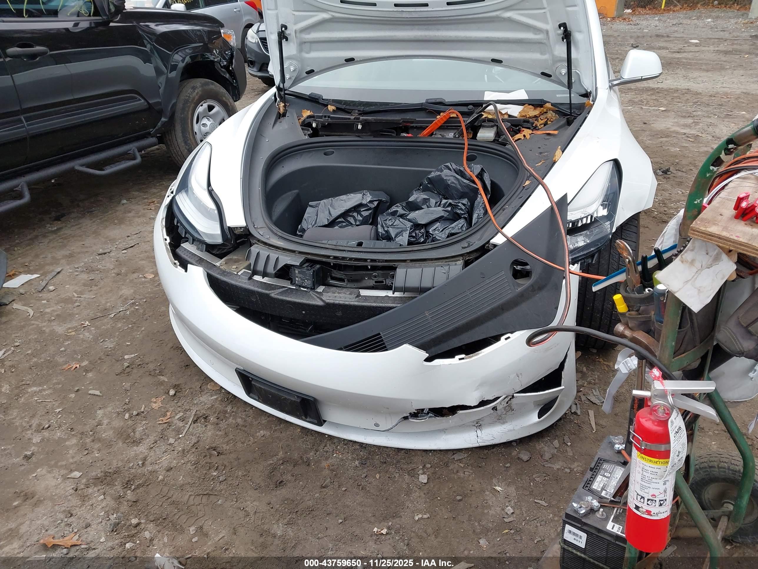 TESLA MODEL image 6