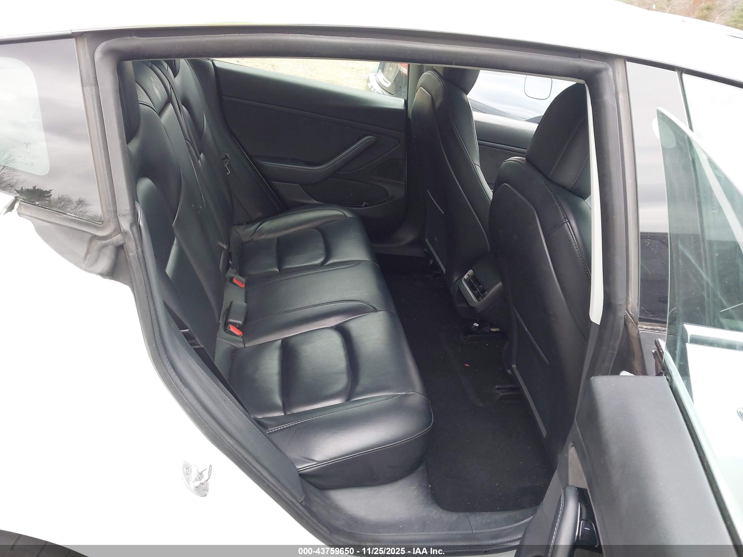 TESLA MODEL image 8
