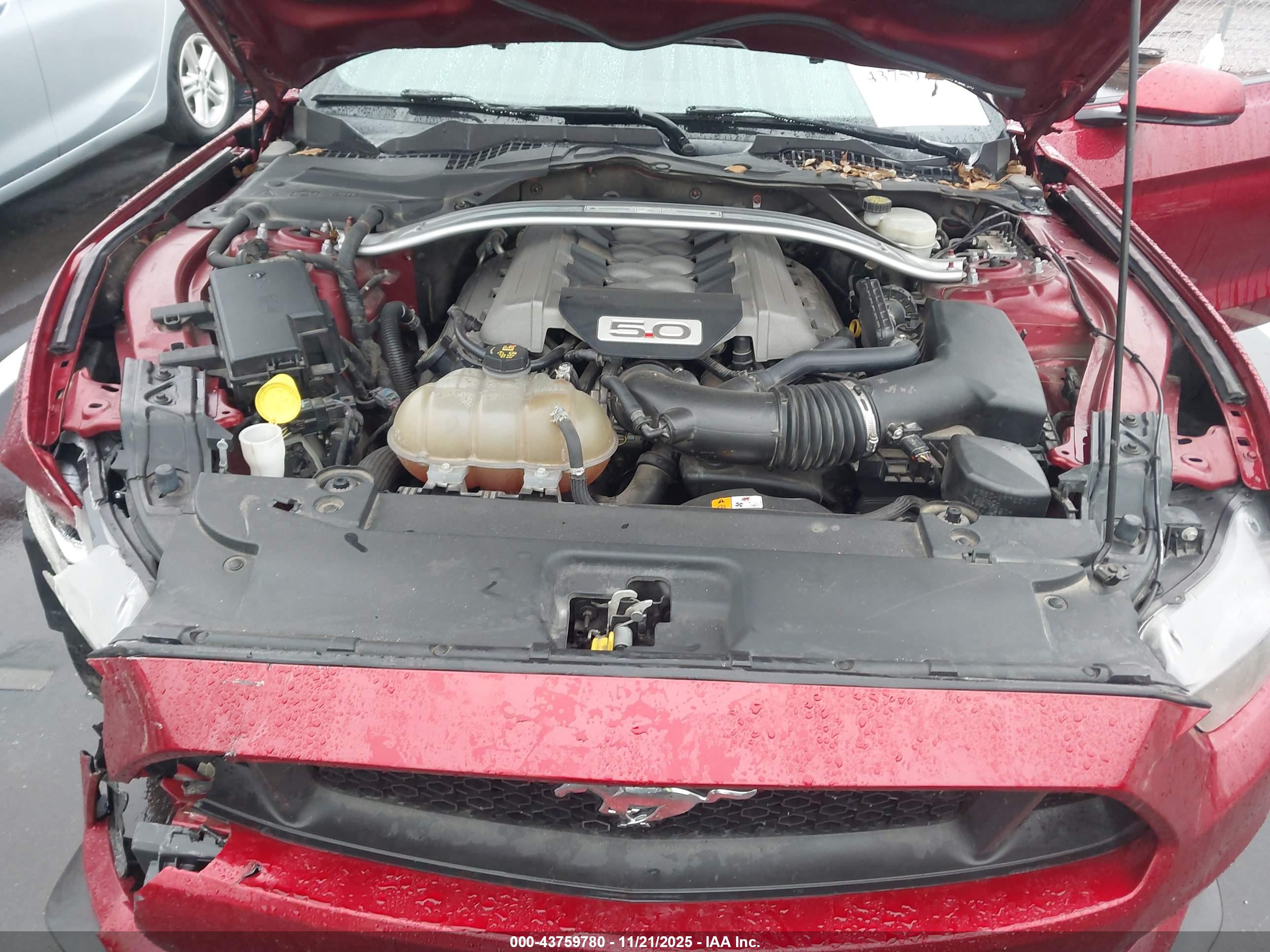 FORD MUSTANG image 10