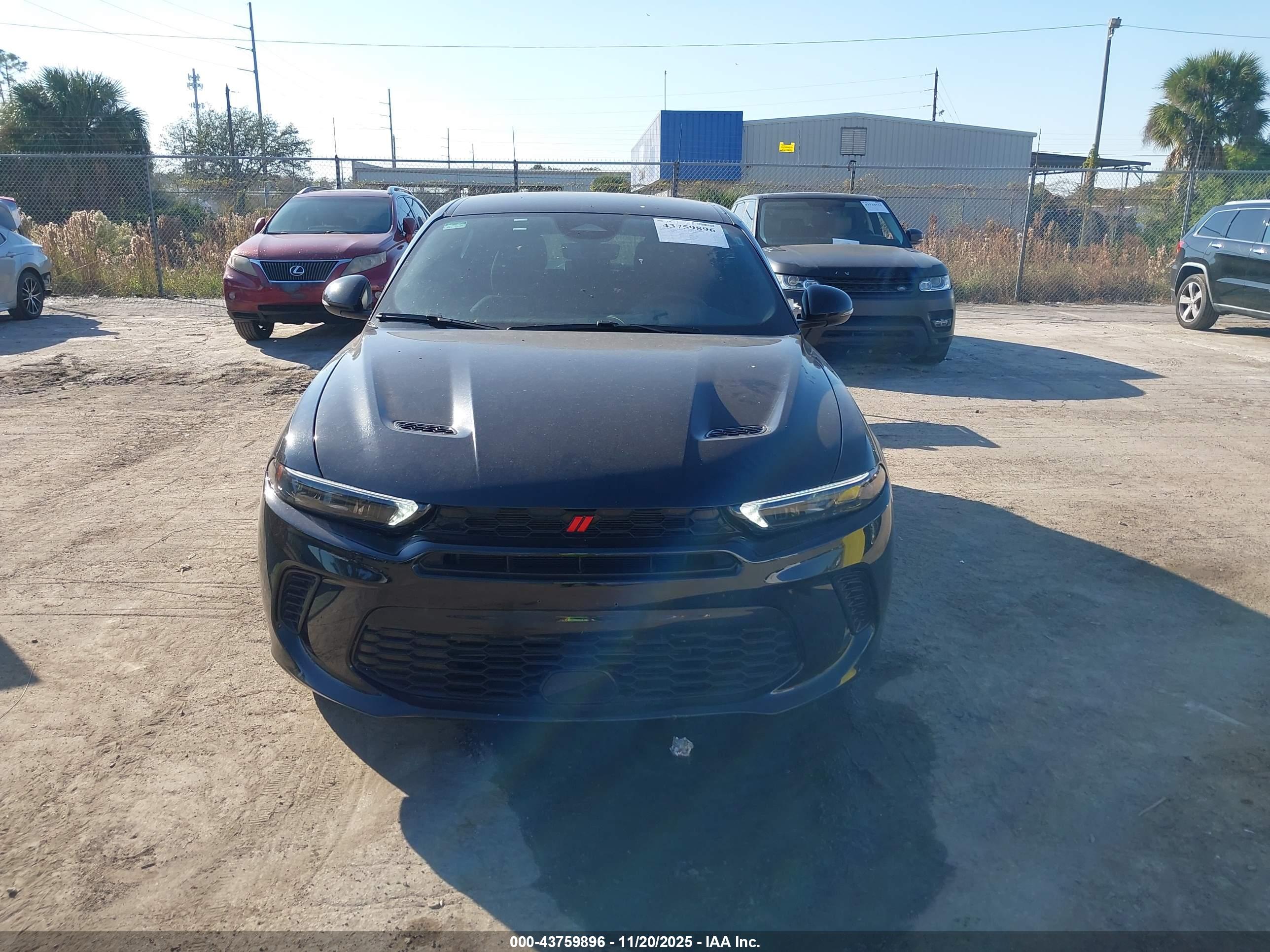DODGE HORNET image 6