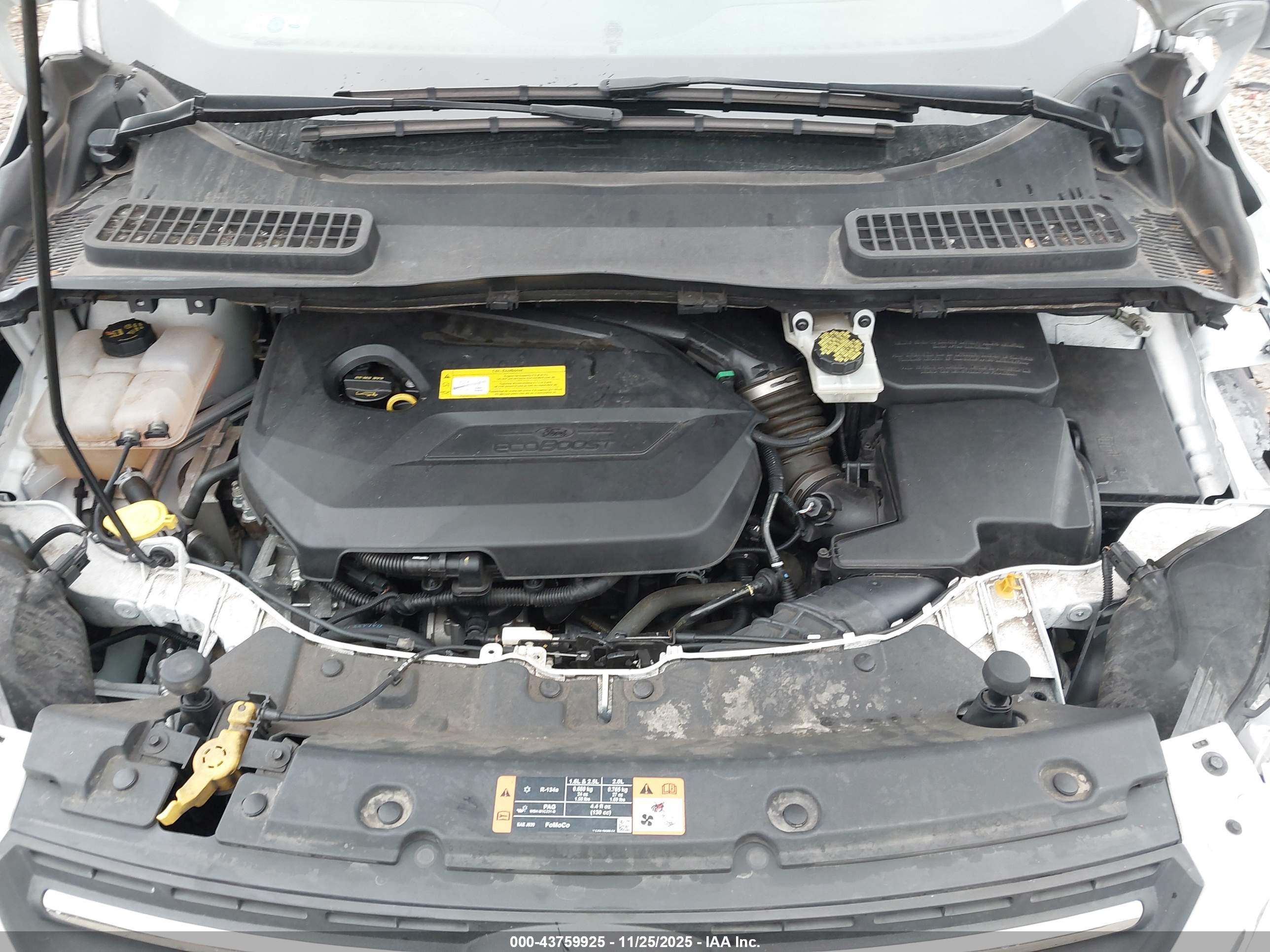 FORD ESCAPE image 10