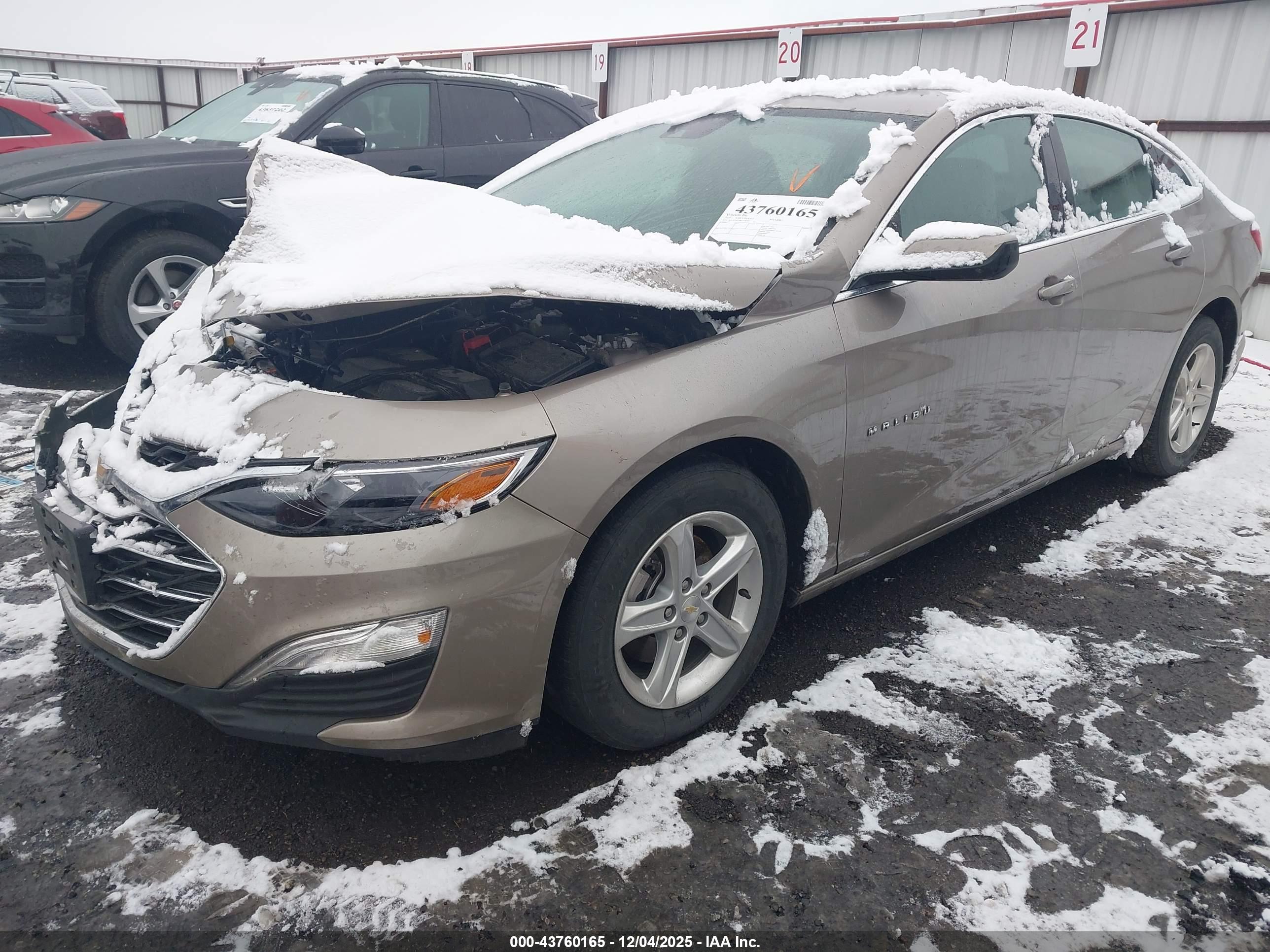CHEVROLET MALIBU image 2