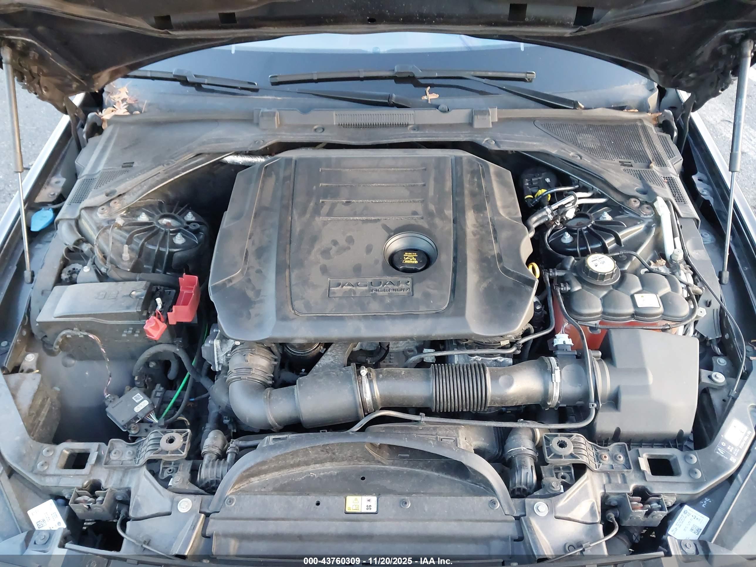 JAGUAR XE image 10