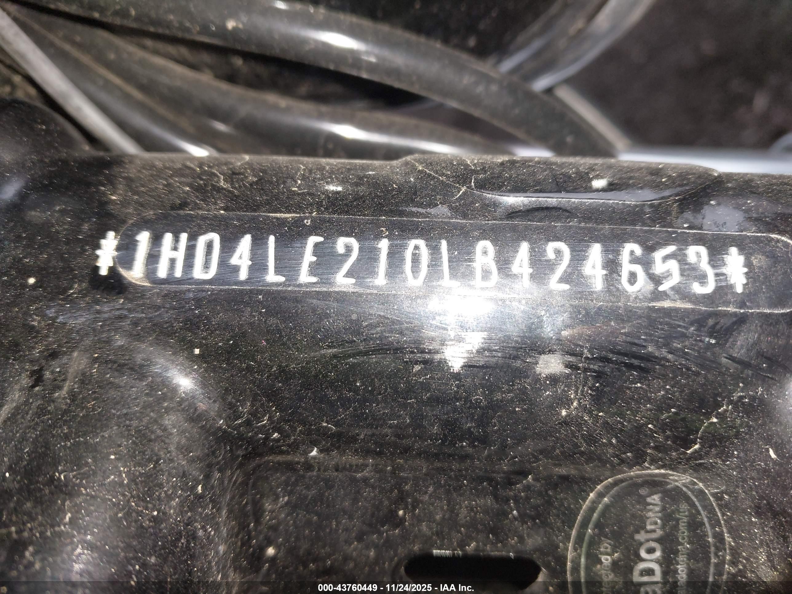 HARLEY-DAVIDSON XL883 image 10