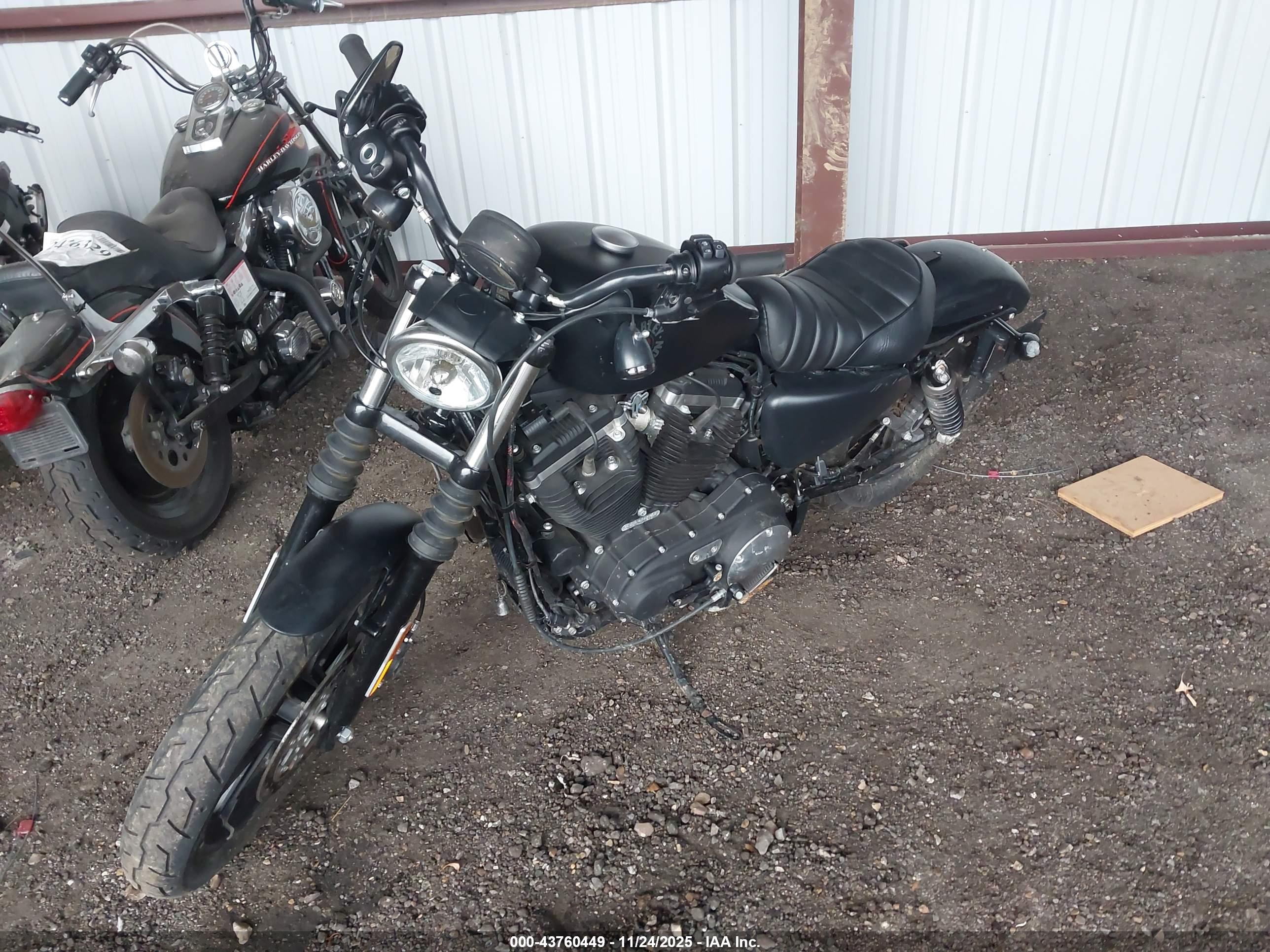 HARLEY-DAVIDSON XL883 image 2