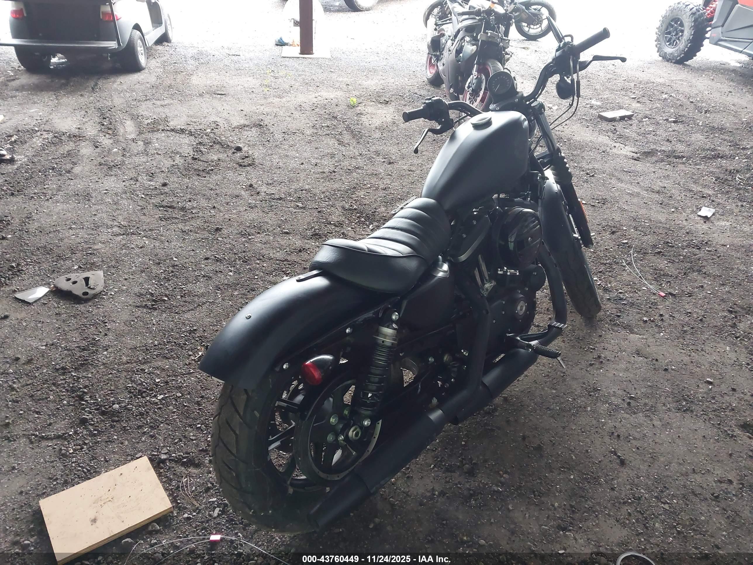 HARLEY-DAVIDSON XL883 image 4
