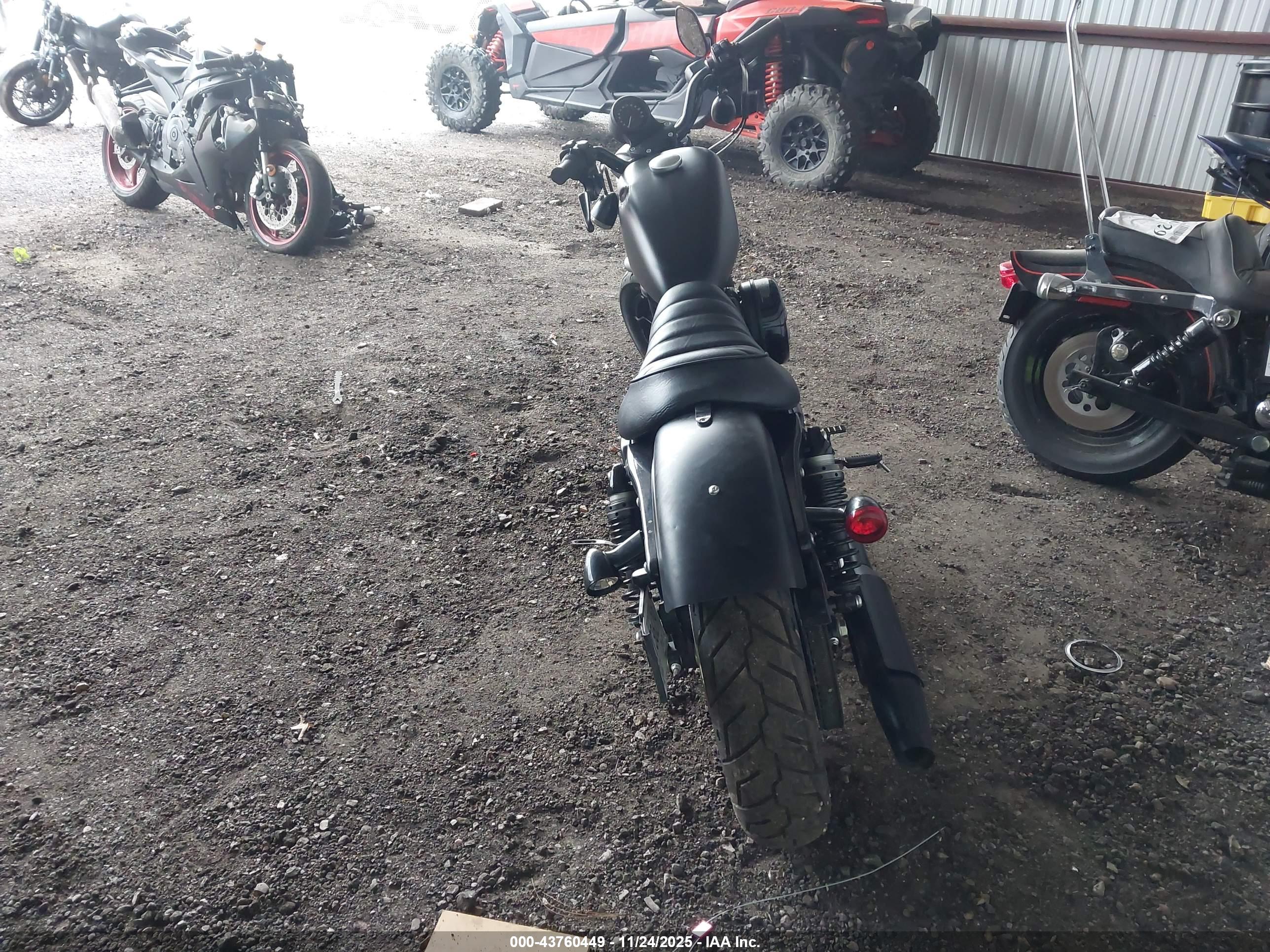 HARLEY-DAVIDSON XL883 image 6