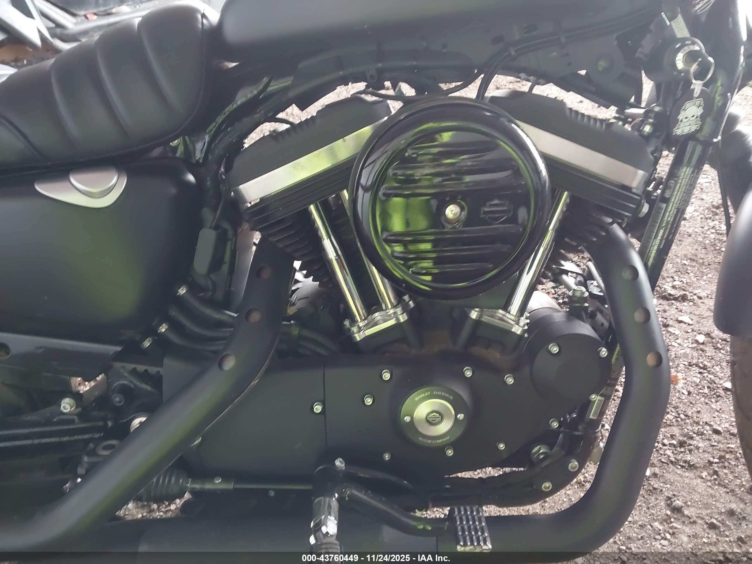 HARLEY-DAVIDSON XL883 image 8