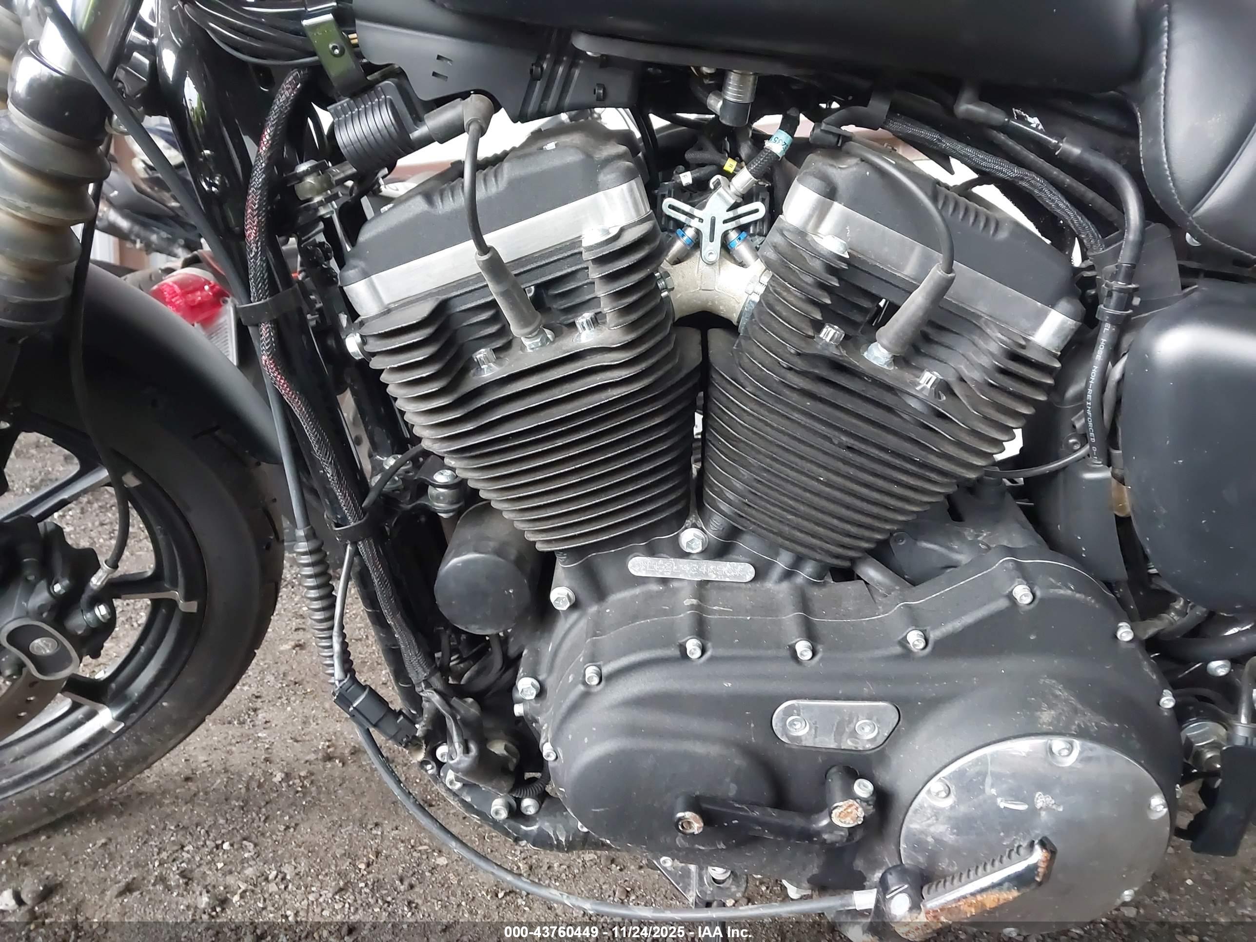 HARLEY-DAVIDSON XL883 image 9