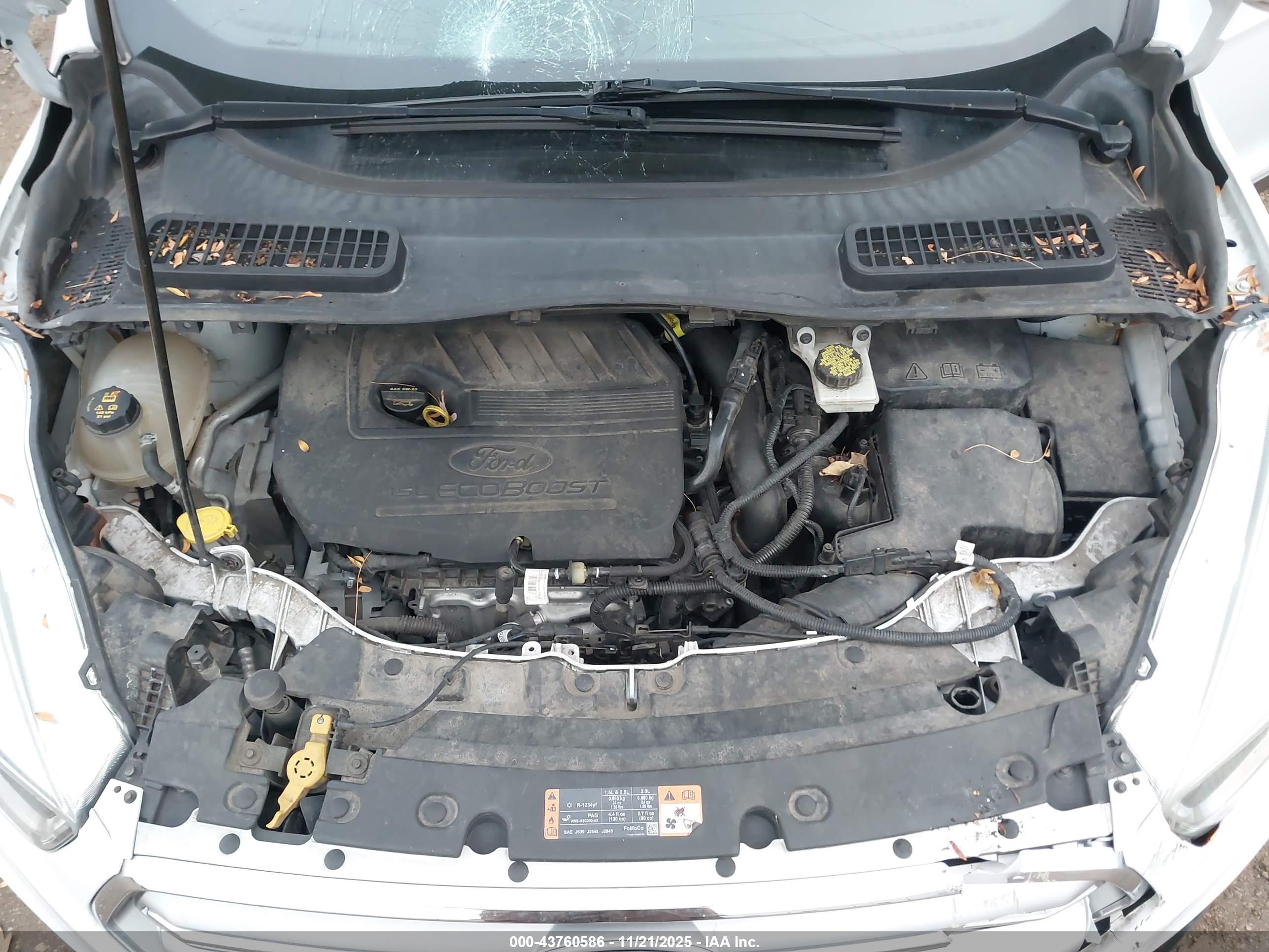 FORD ESCAPE image 10