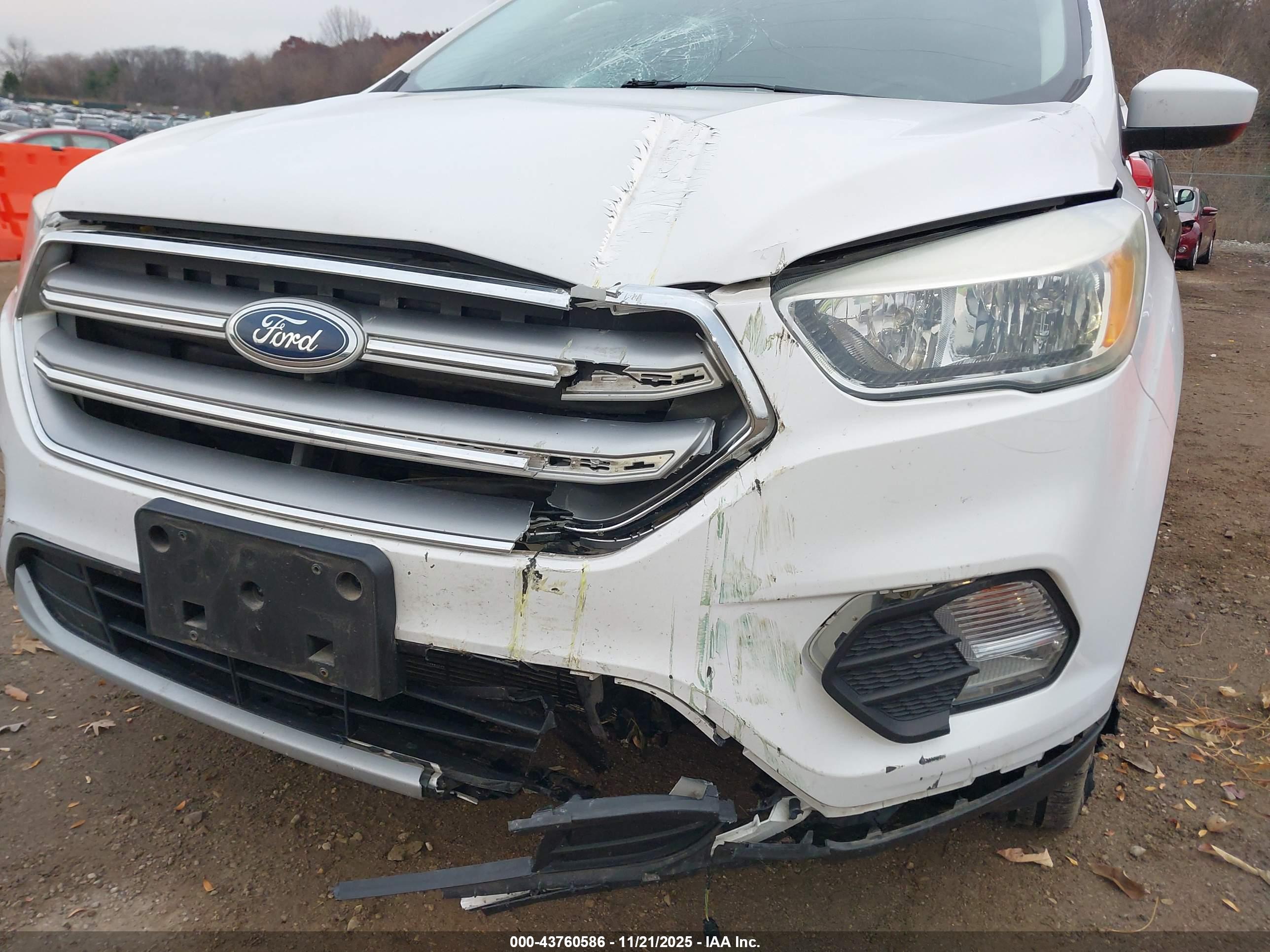 FORD ESCAPE image 6