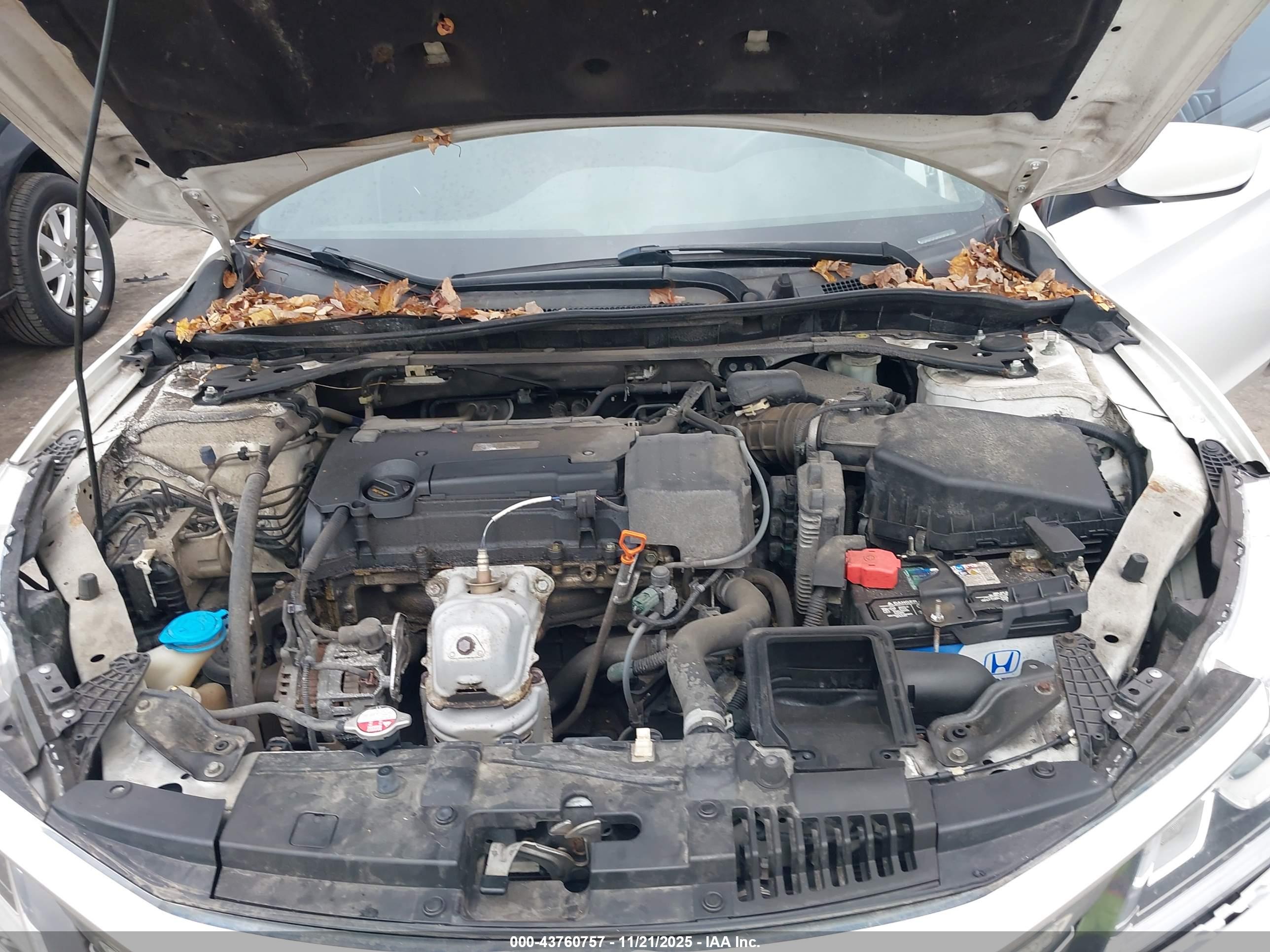 HONDA ACCORD image 10