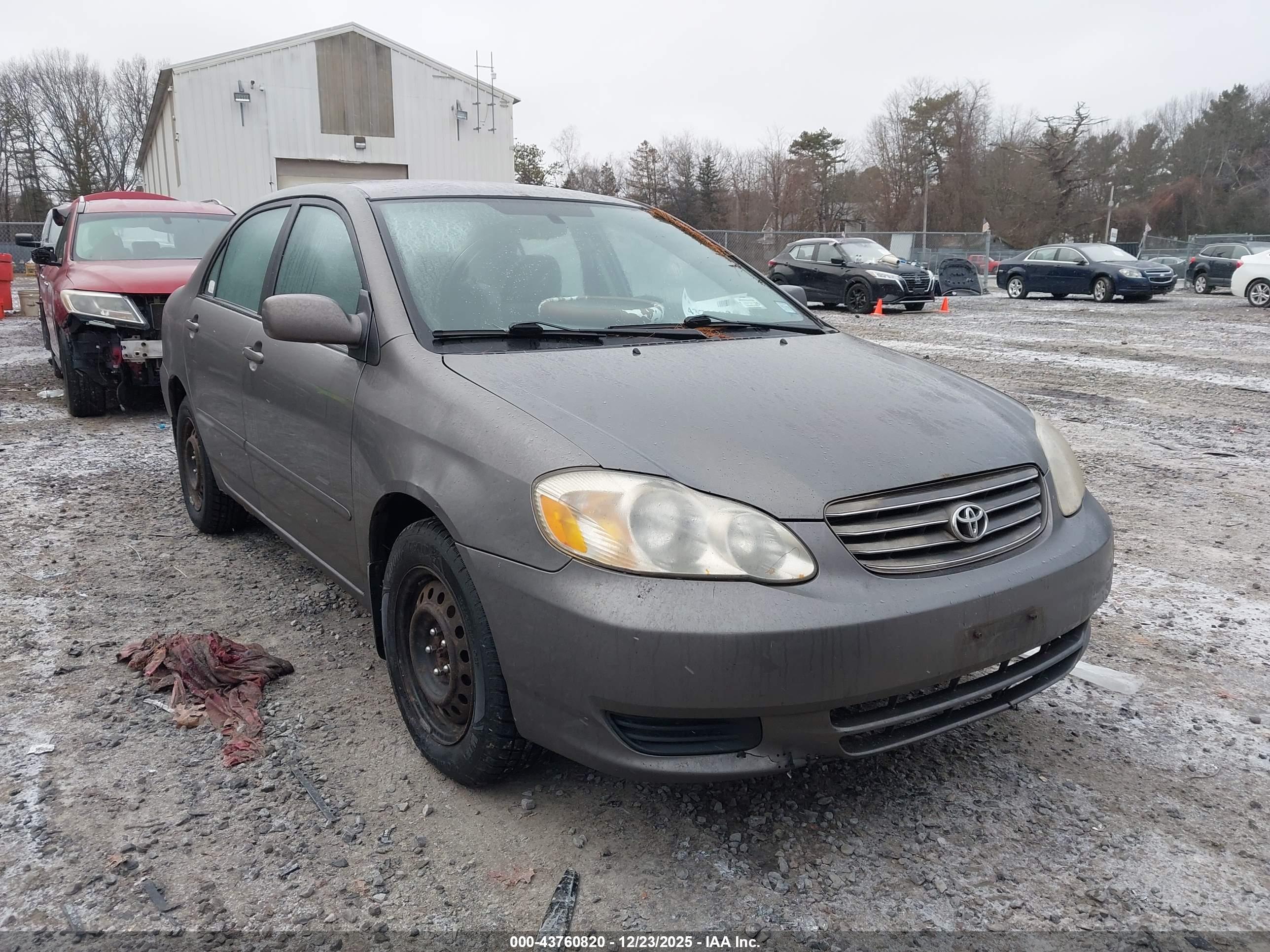 TOYOTA COROLLA image 6