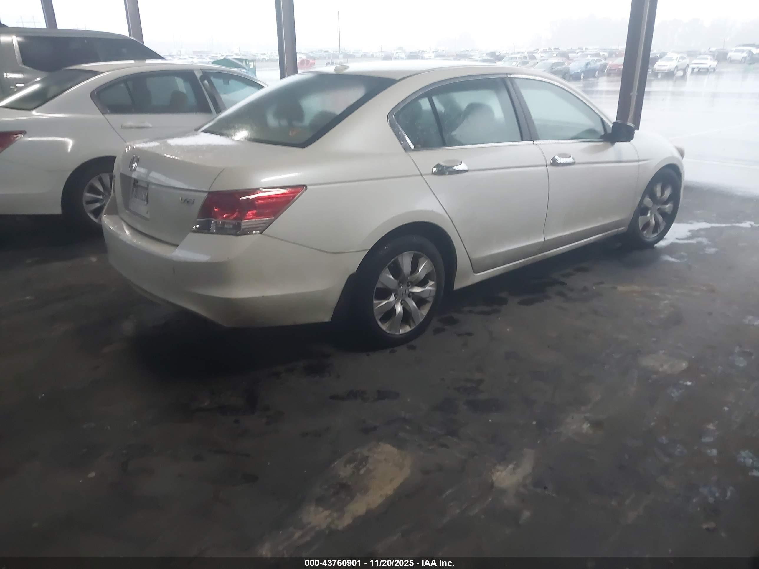 HONDA ACCORD image 4