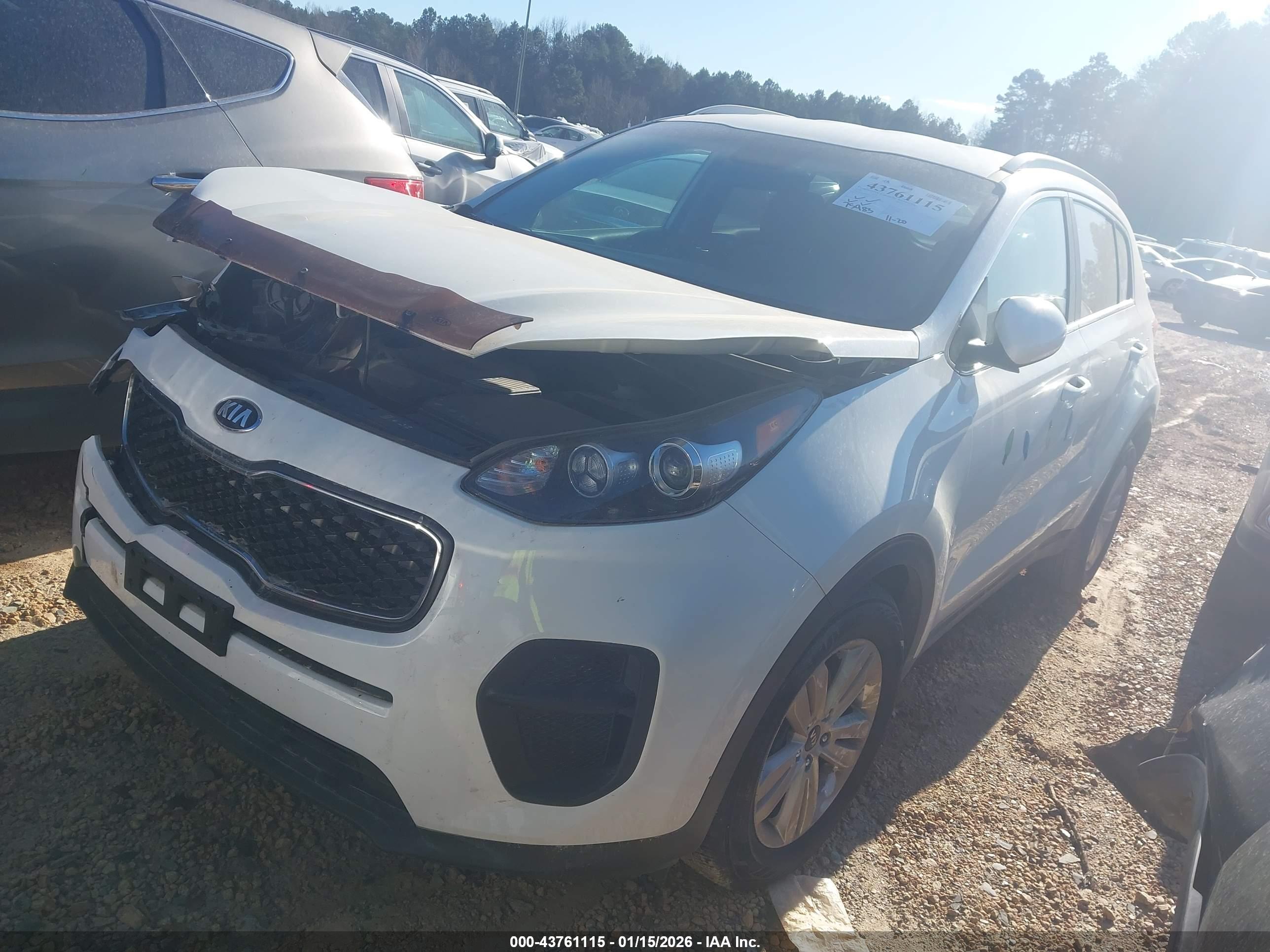 KIA SPORTAGE image 2