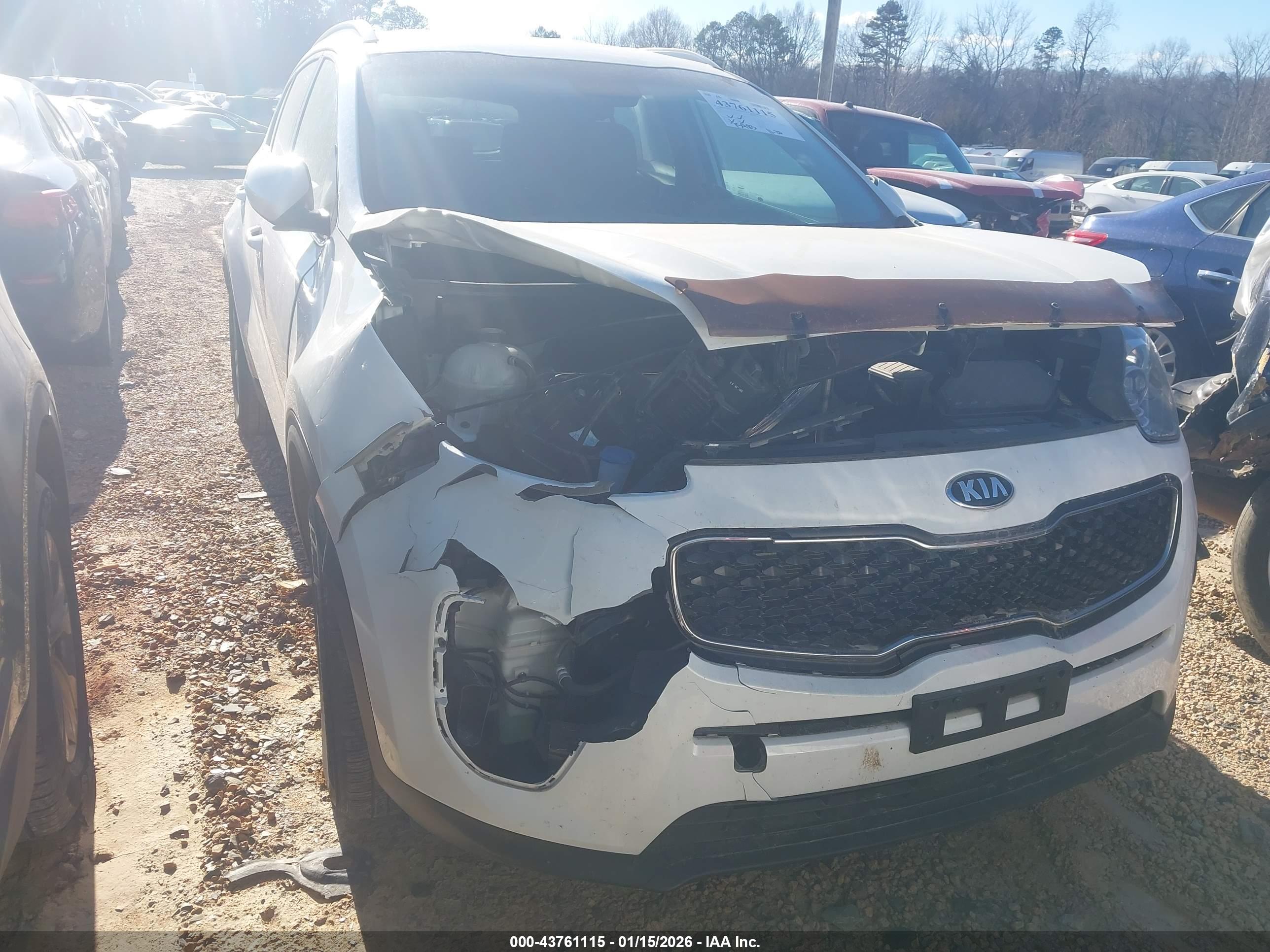 KIA SPORTAGE image 6