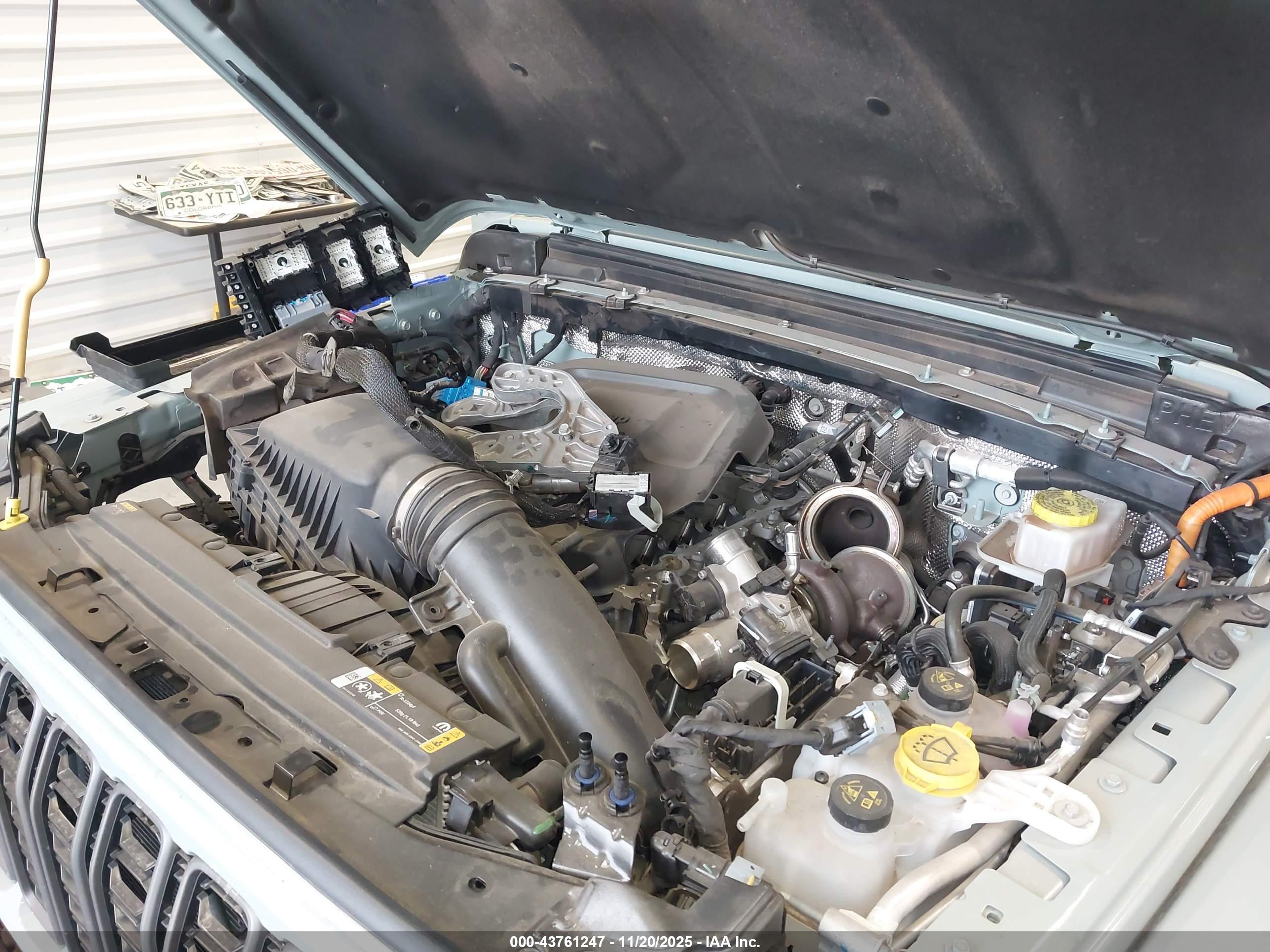 JEEP WRANGLER image 6