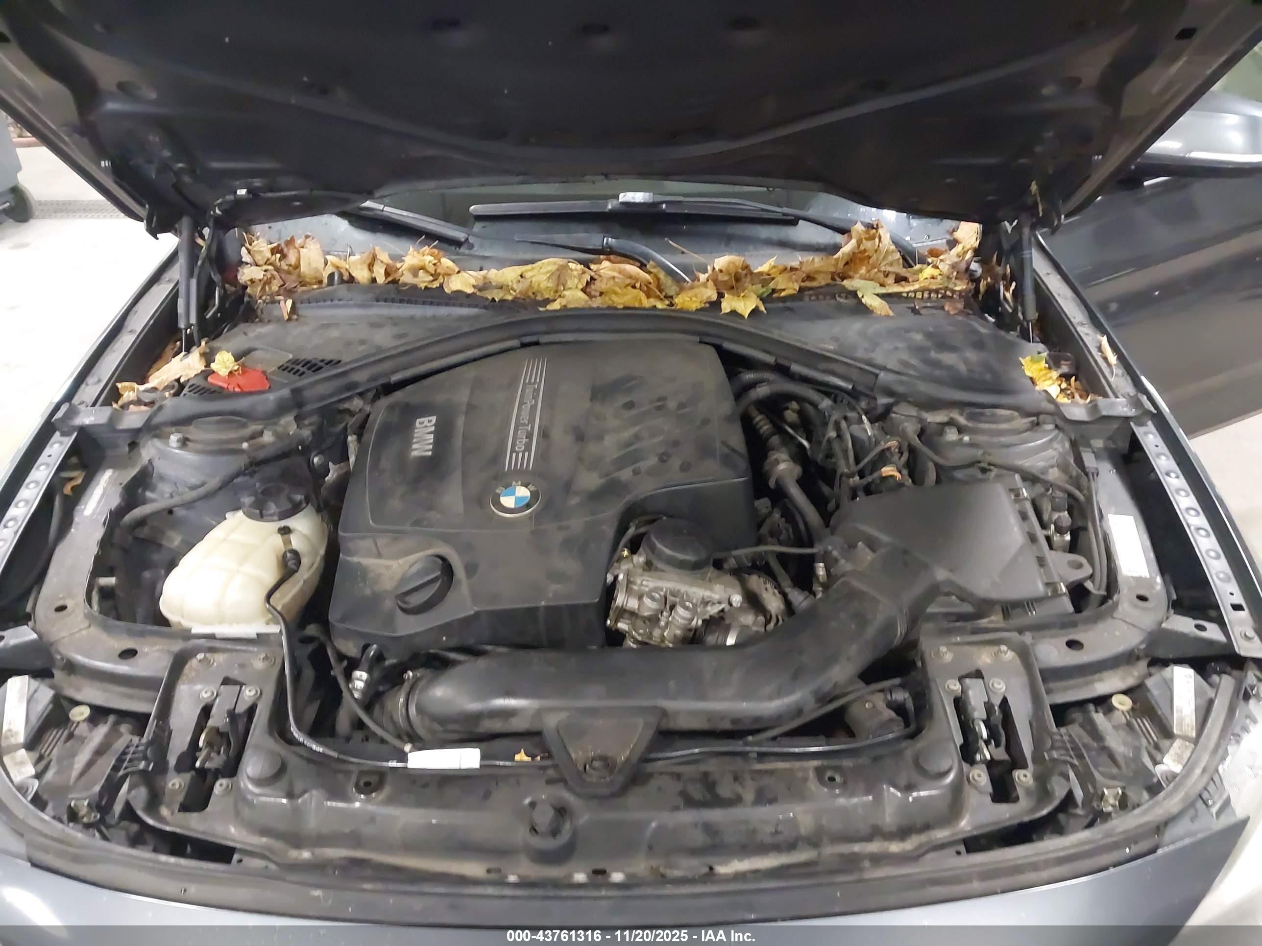 BMW 335I image 10