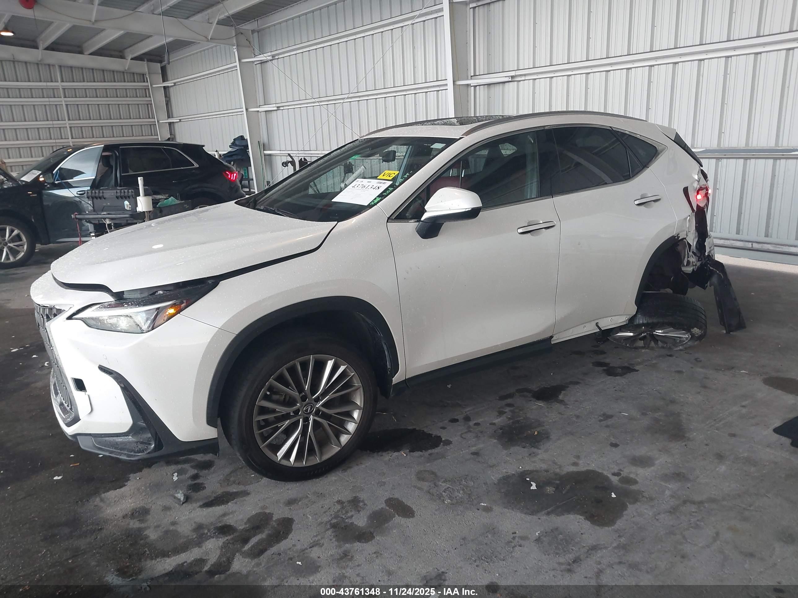 LEXUS NX image 2