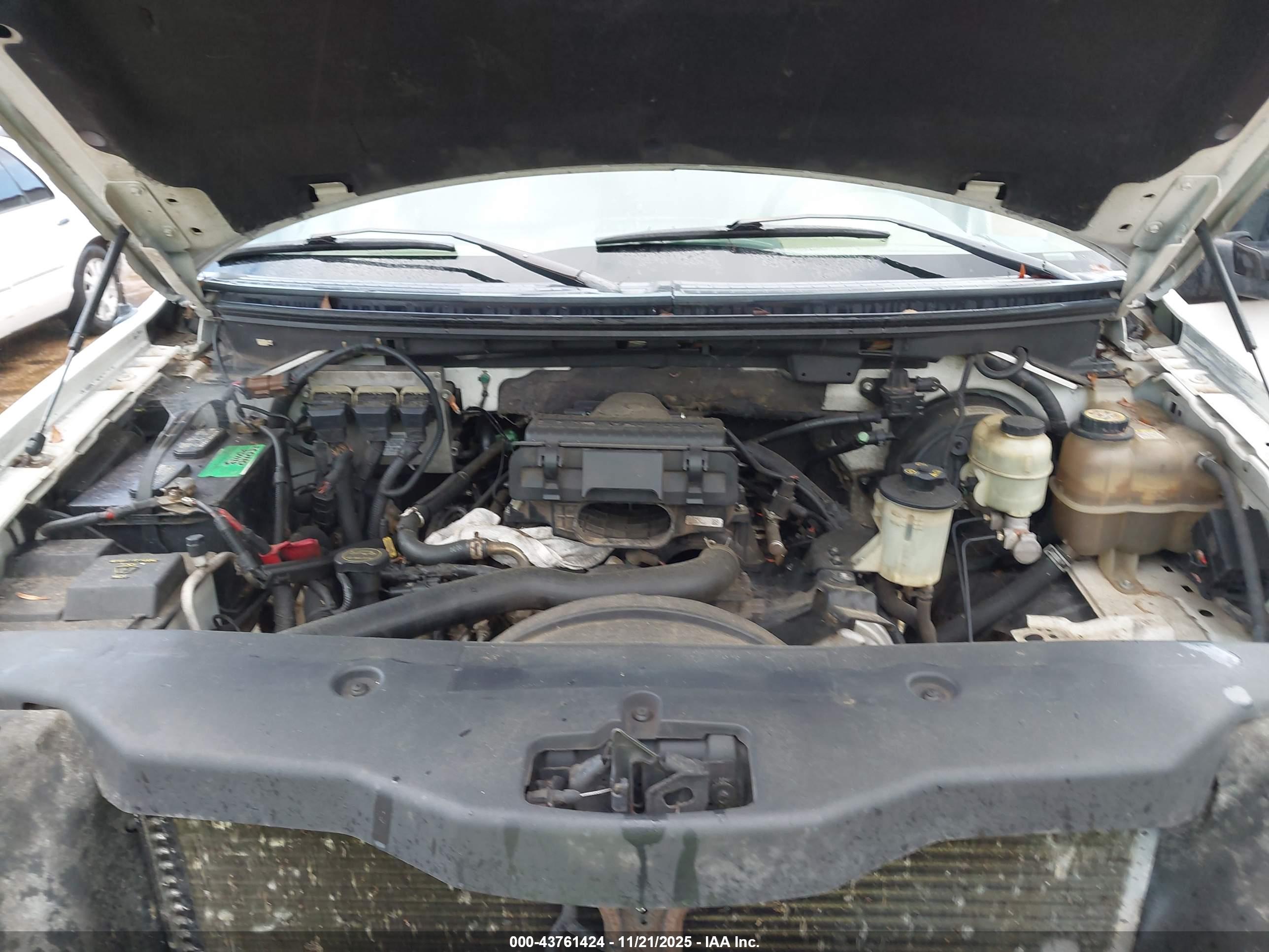 FORD F-150 image 10