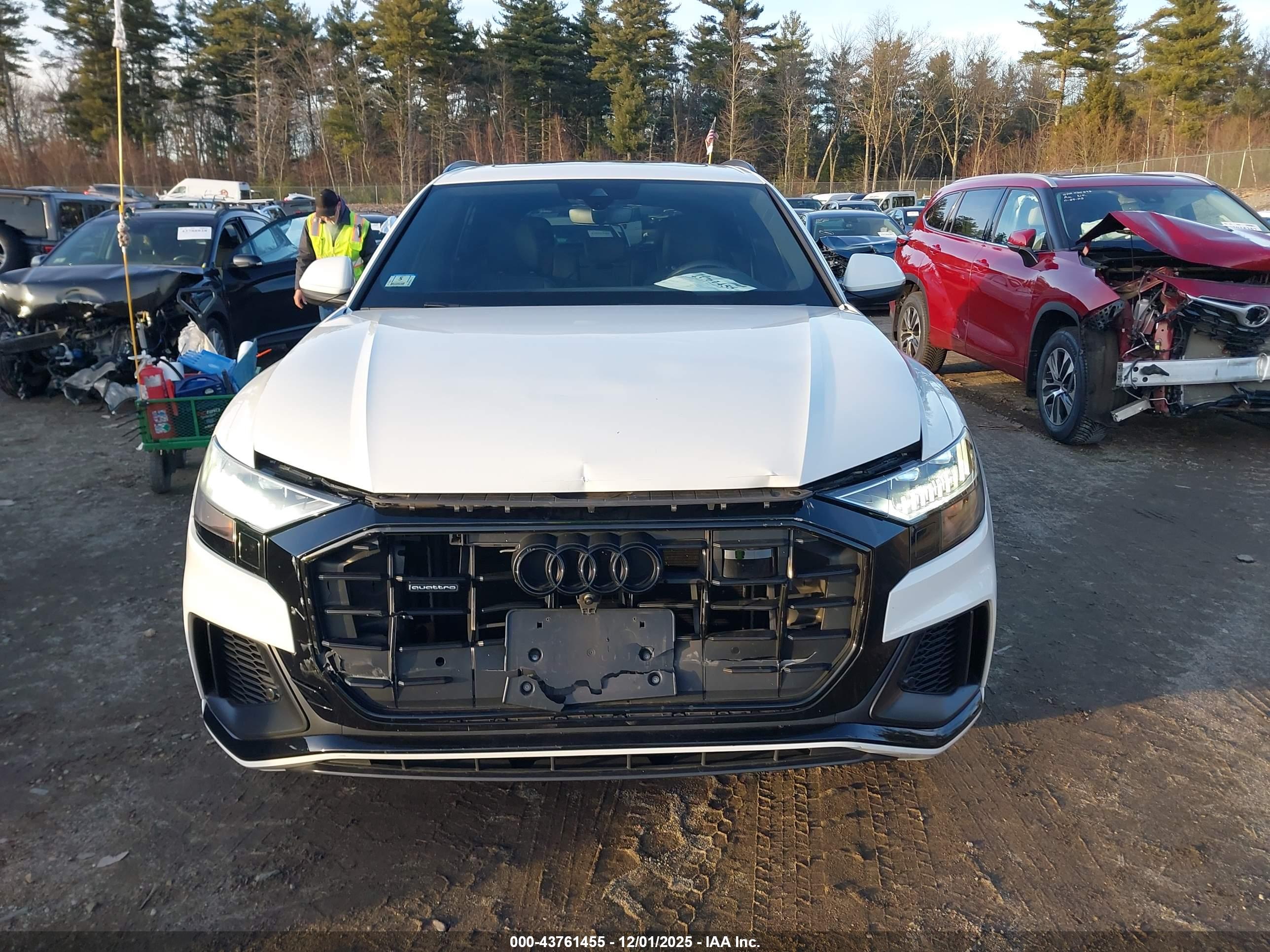 AUDI Q8 image 6
