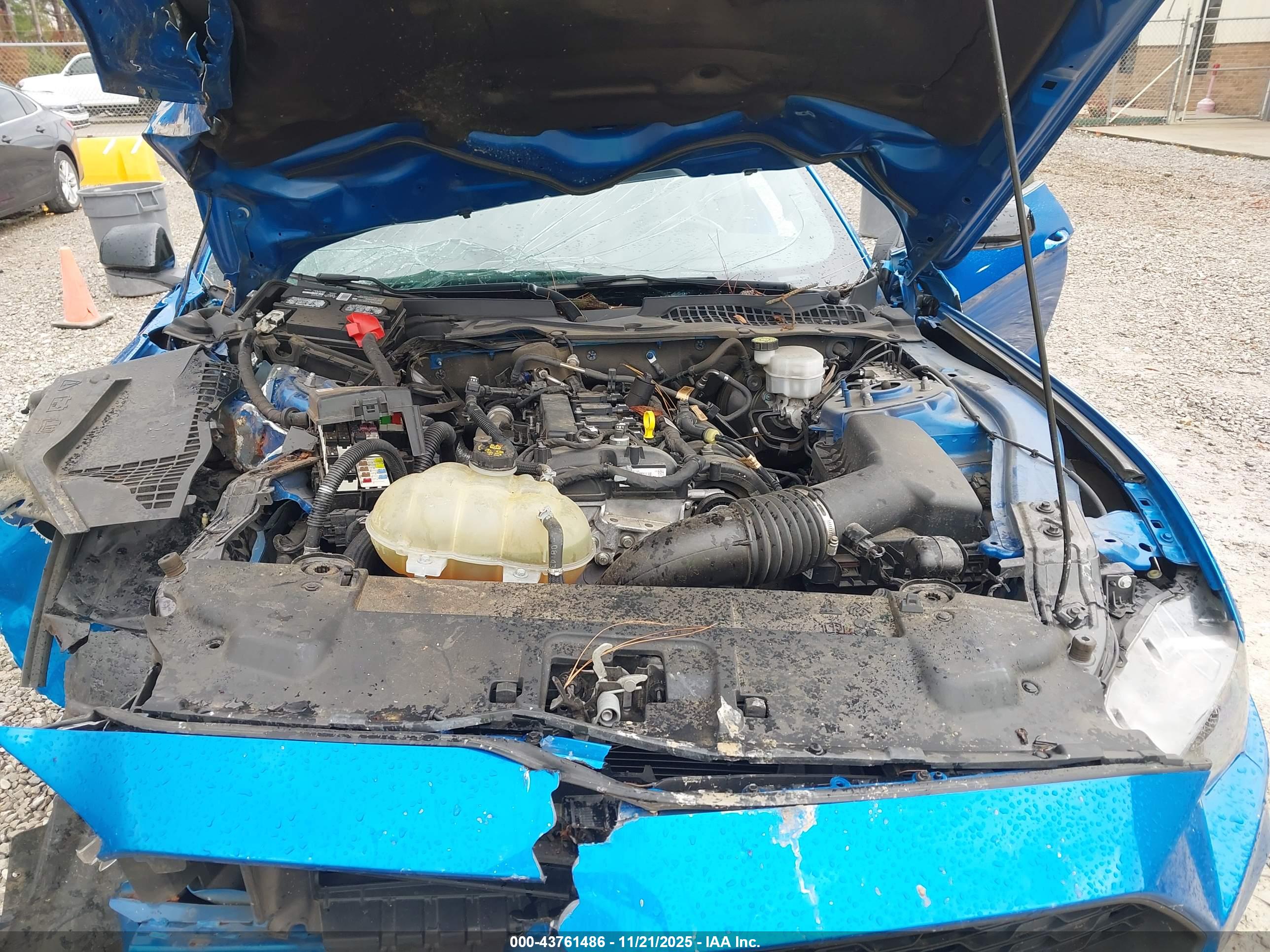 FORD MUSTANG image 10