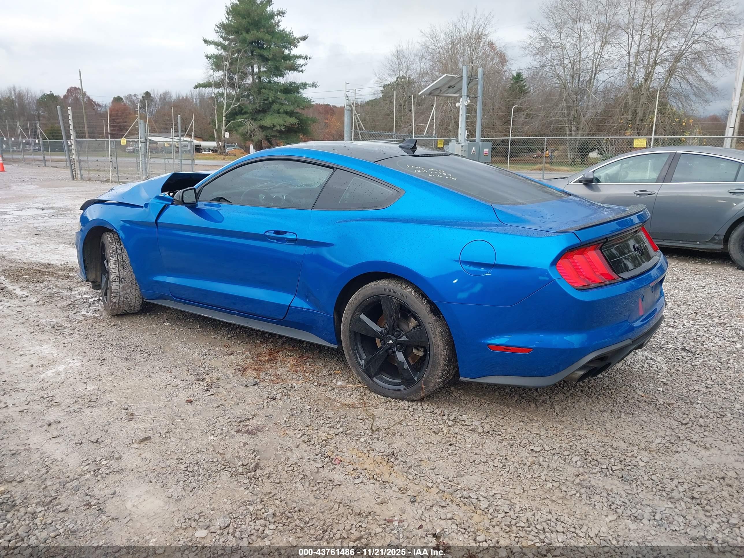 FORD MUSTANG image 3