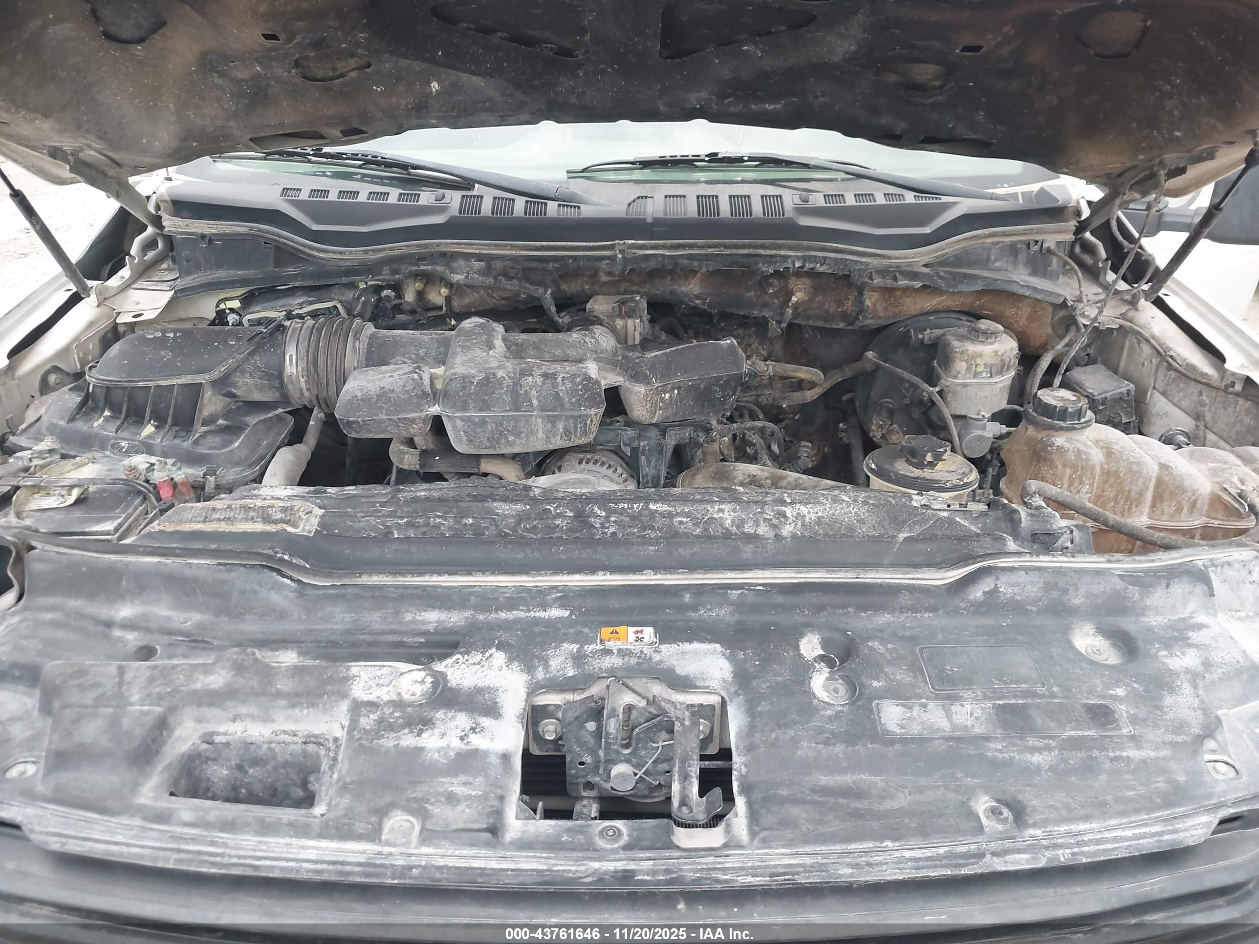 FORD F-250 image 10