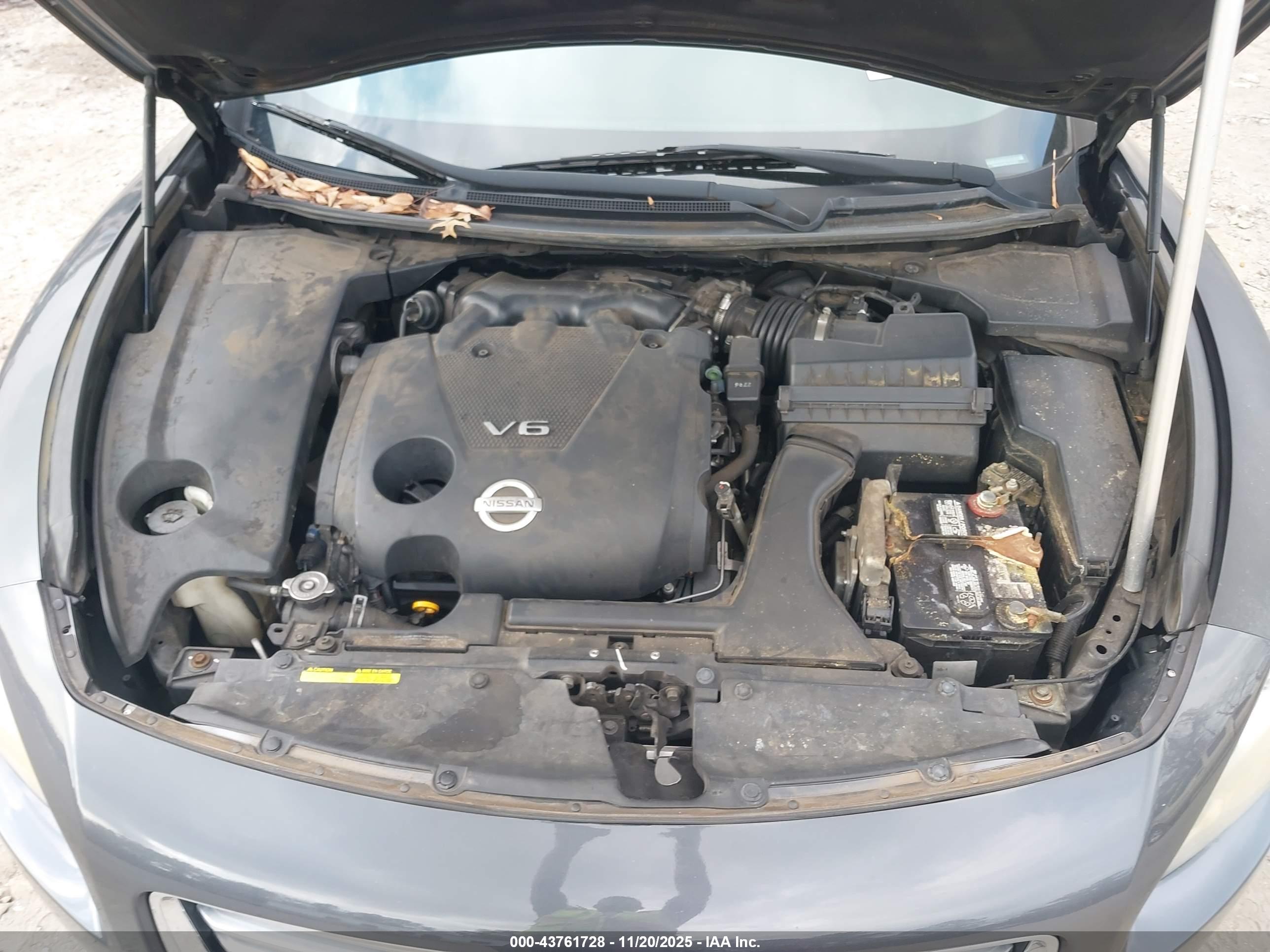 NISSAN MAXIMA image 10