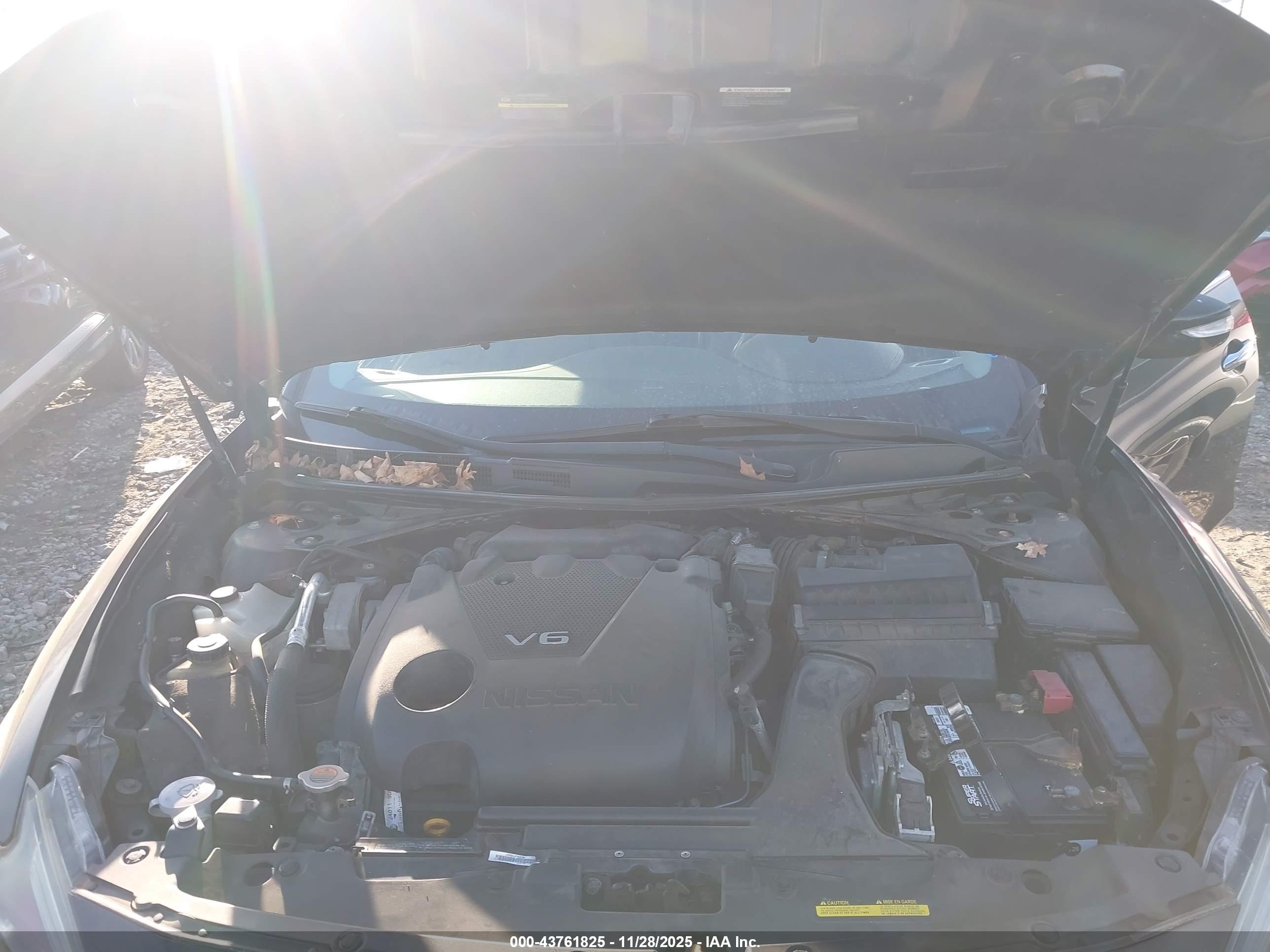 NISSAN MAXIMA image 10