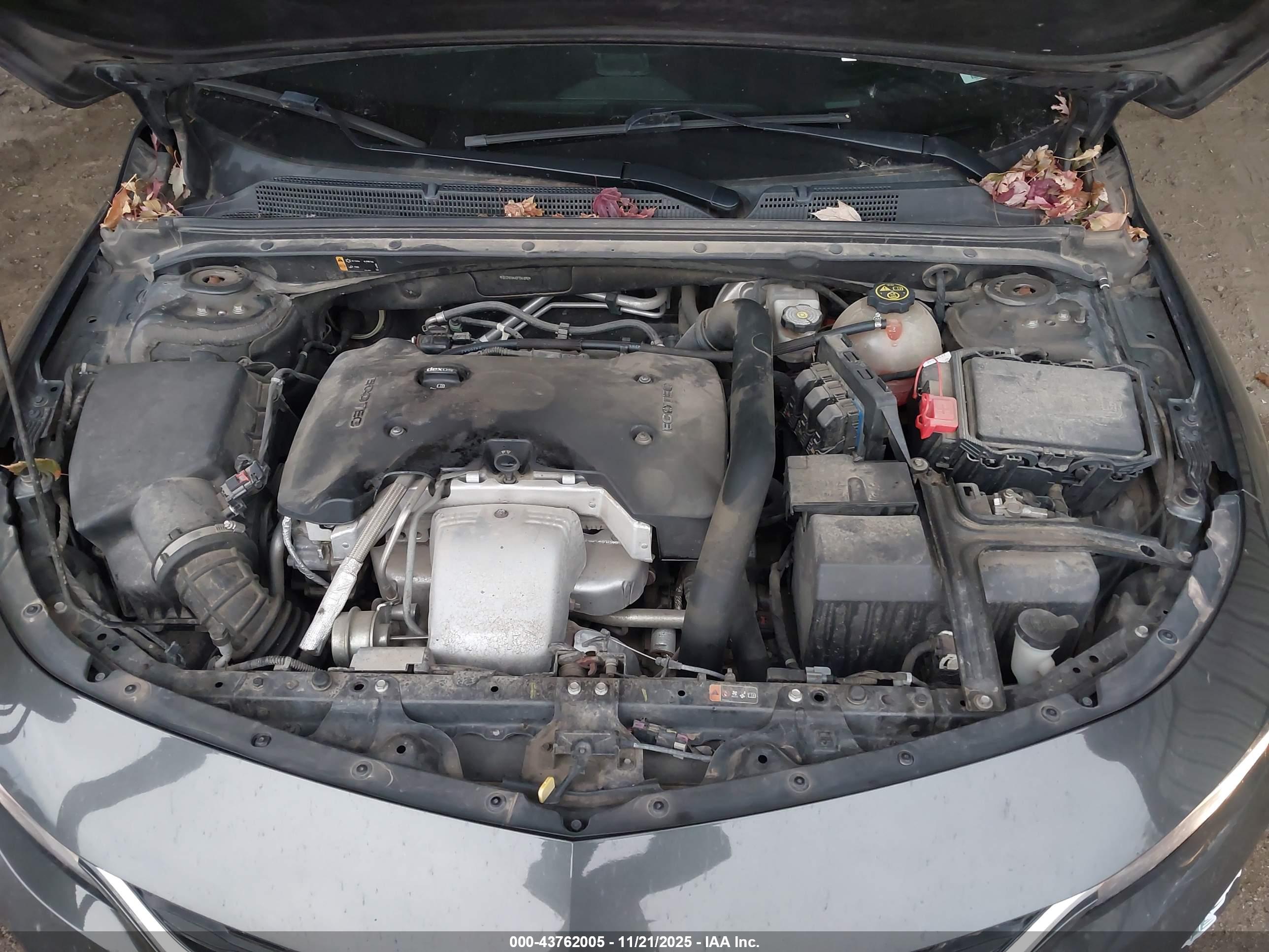 CHEVROLET MALIBU image 10