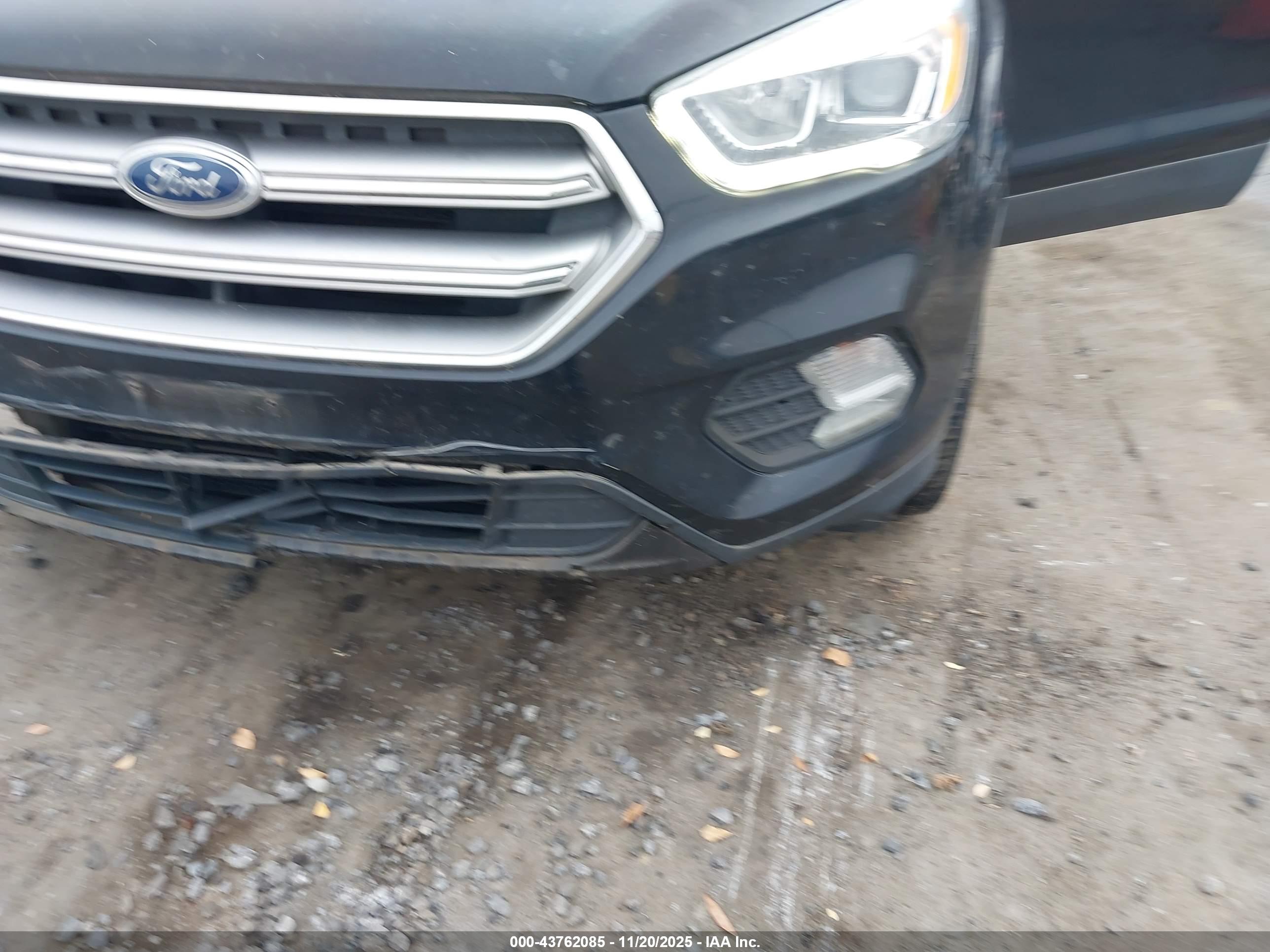 FORD ESCAPE image 6