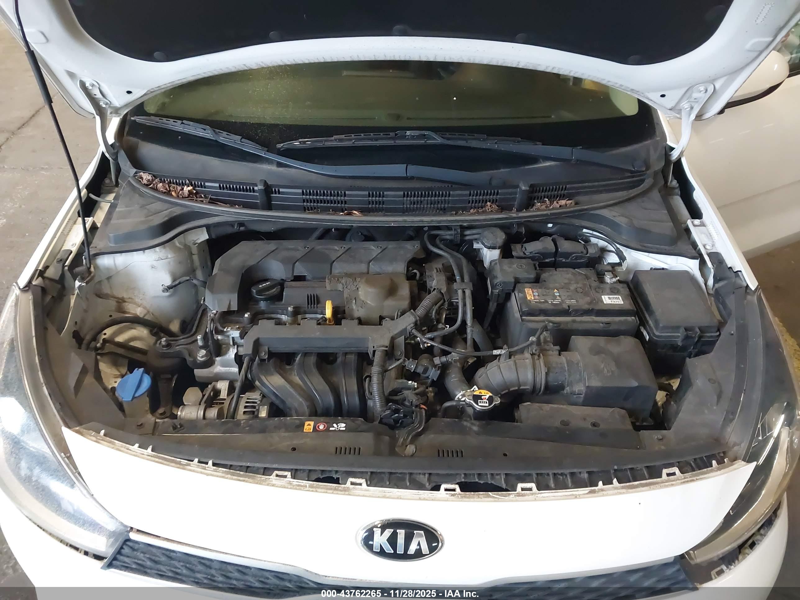 KIA RIO image 10