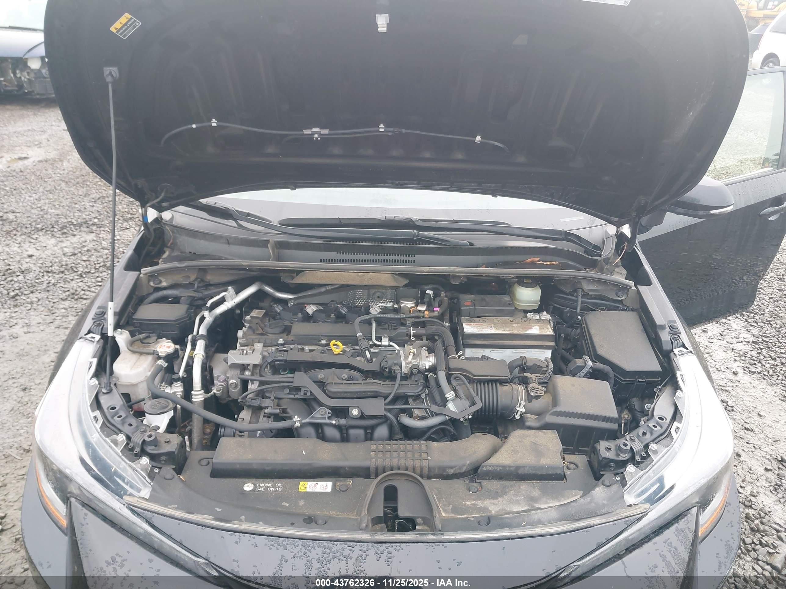 TOYOTA COROLLA image 10