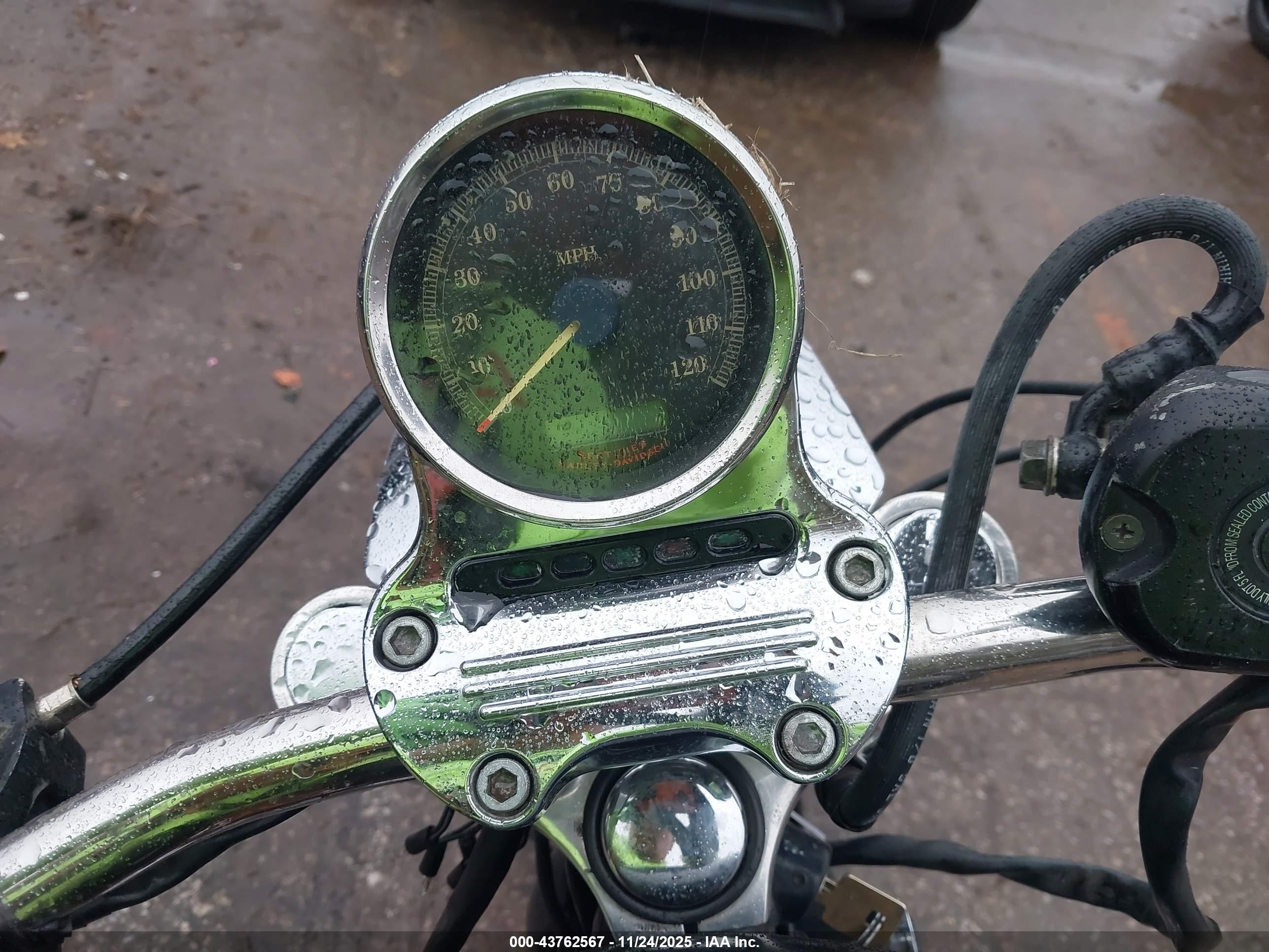 HARLEY-DAVIDSON XL1200 image 7