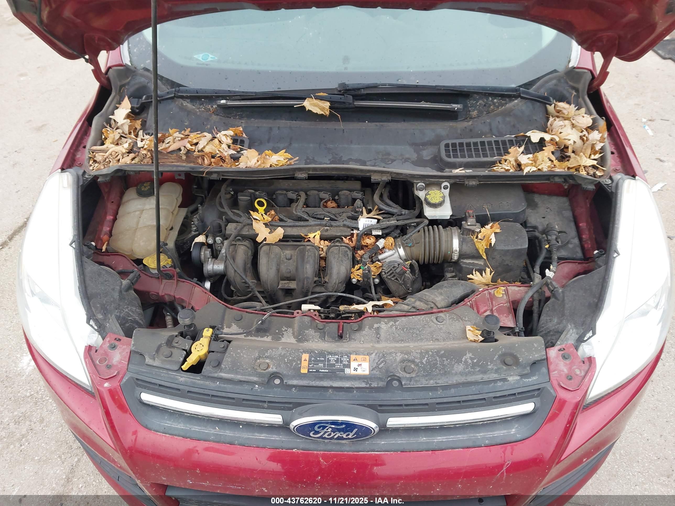 FORD ESCAPE image 10