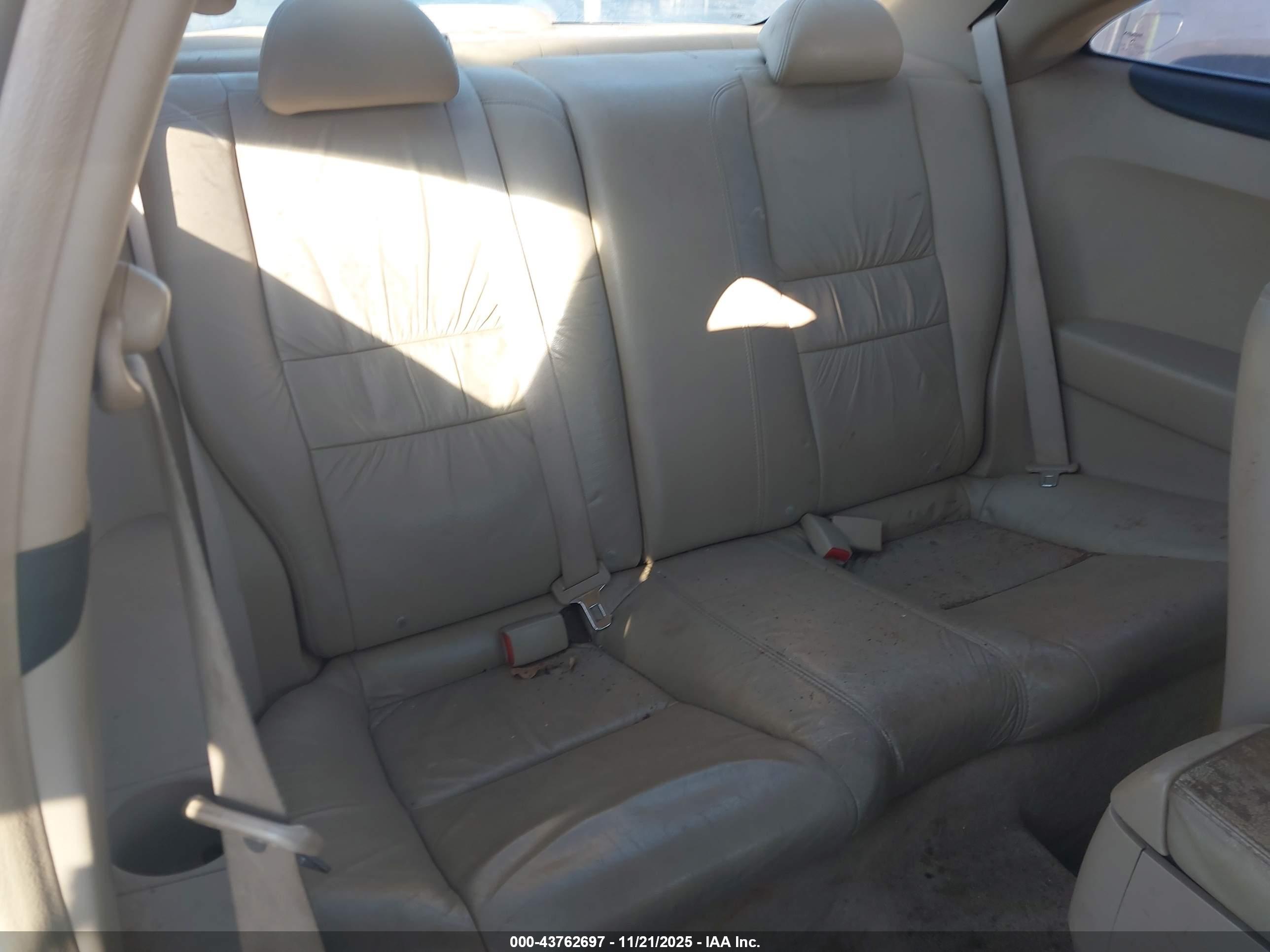 HONDA ACCORD image 8