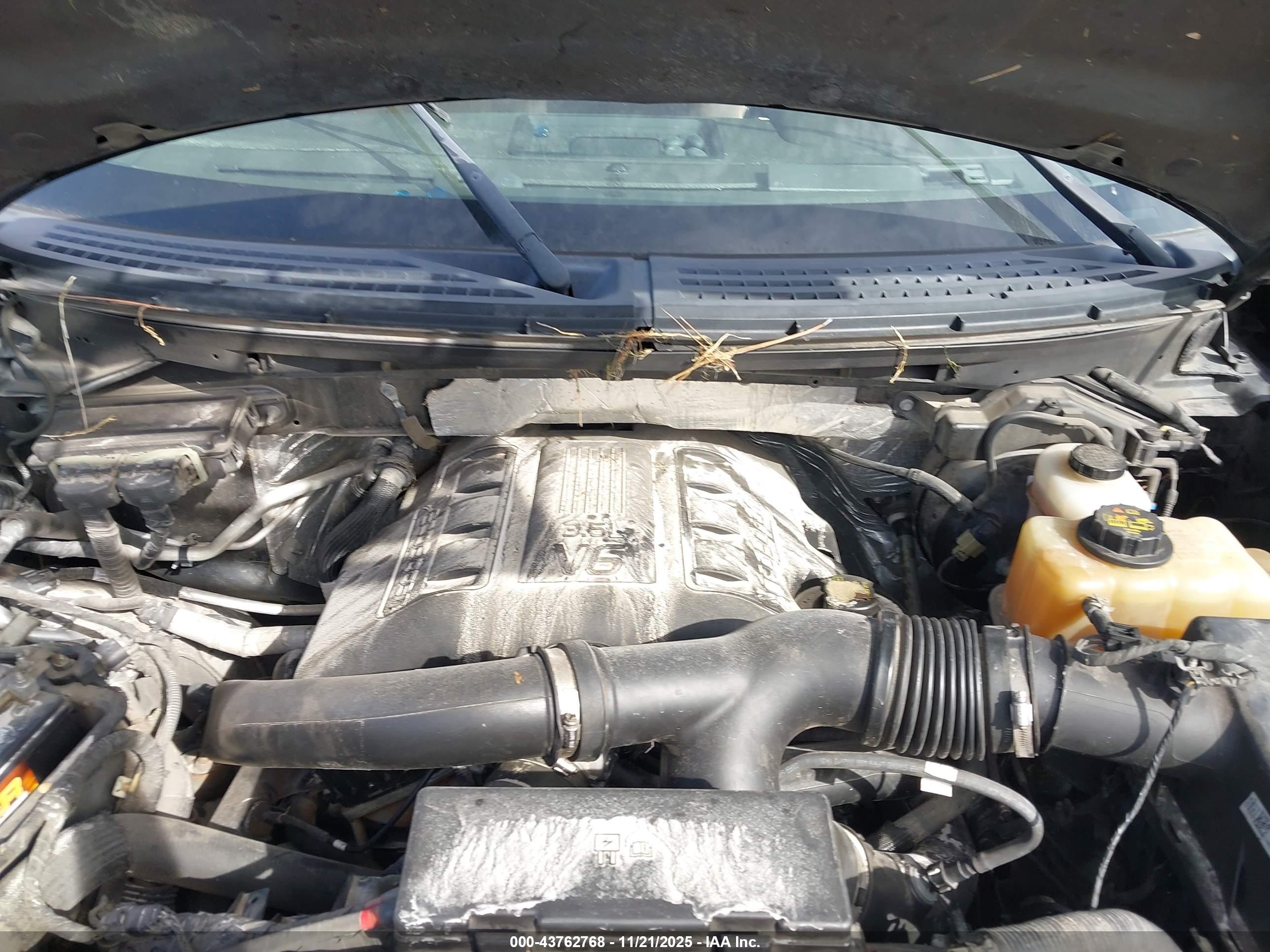 FORD F-150 image 10