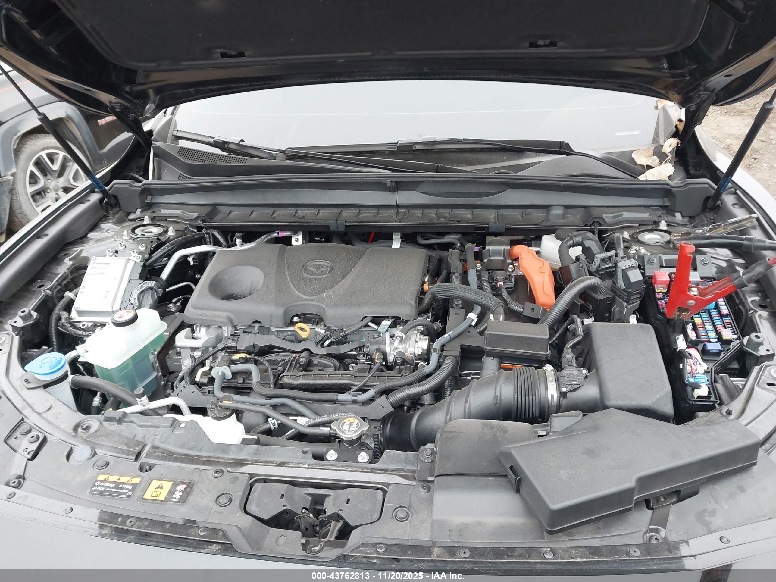 MAZDA CX-50 image 10