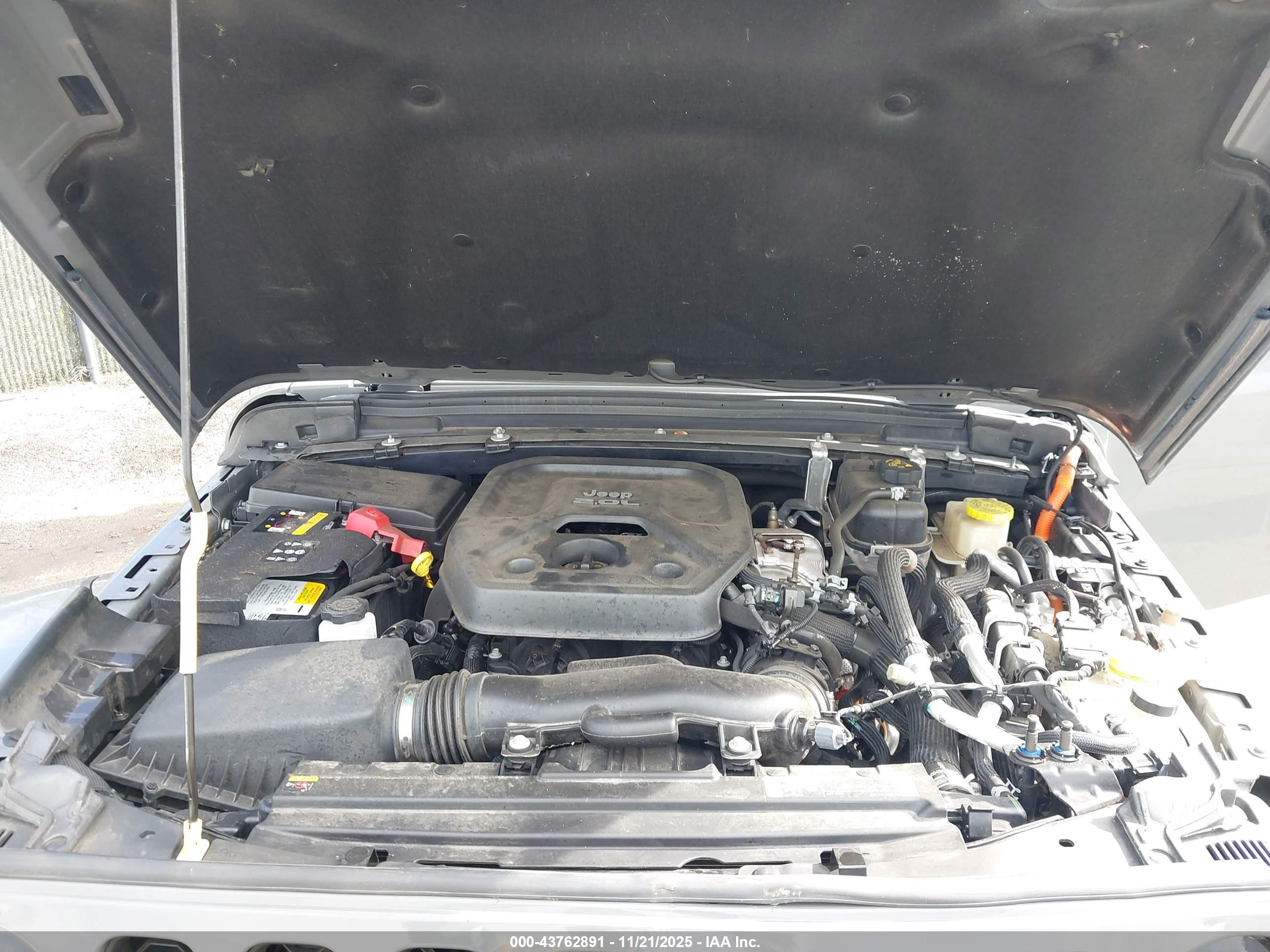 JEEP WRANGLER image 10